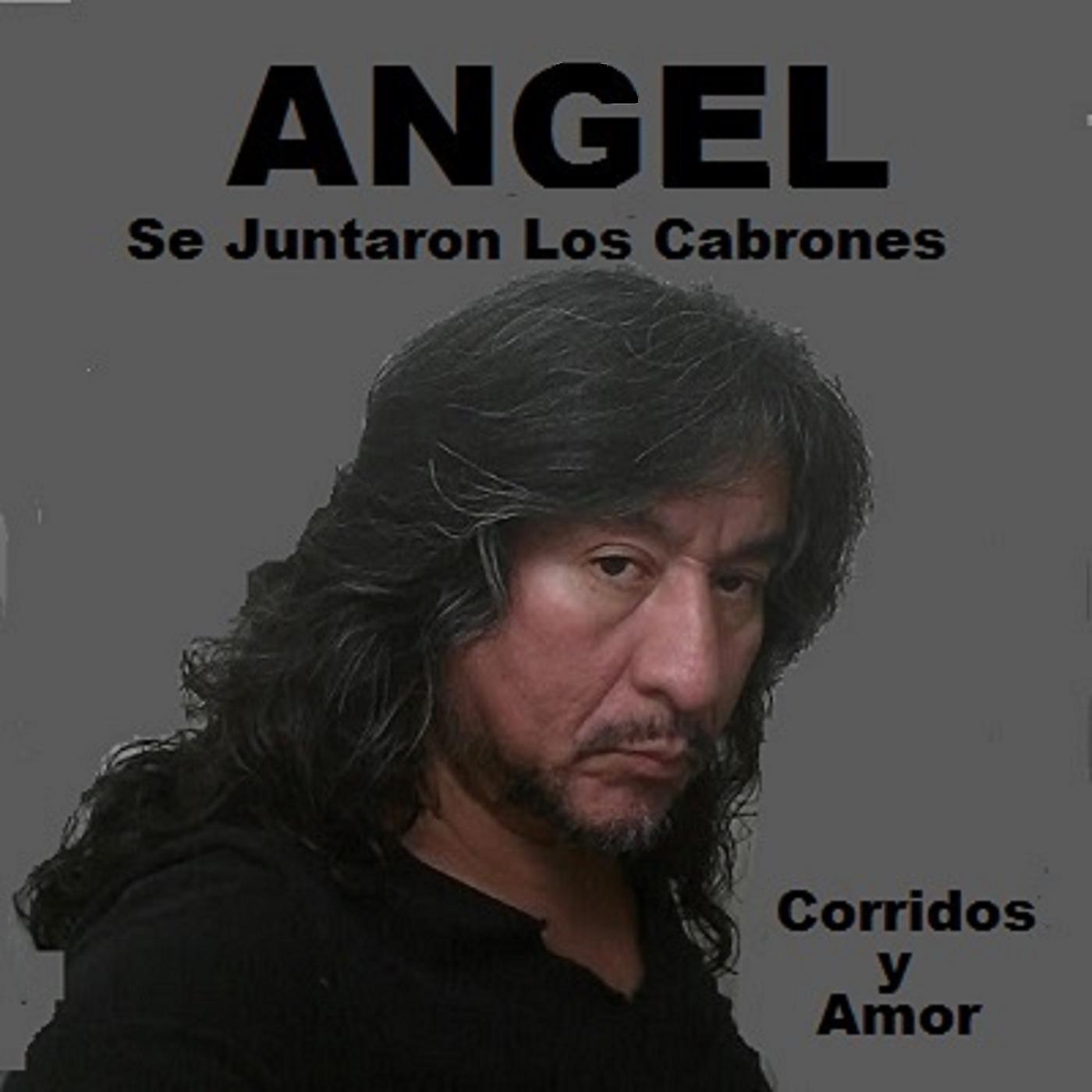 Постер альбома Se Juntaron Los Cabrones Corridos Y Amor
