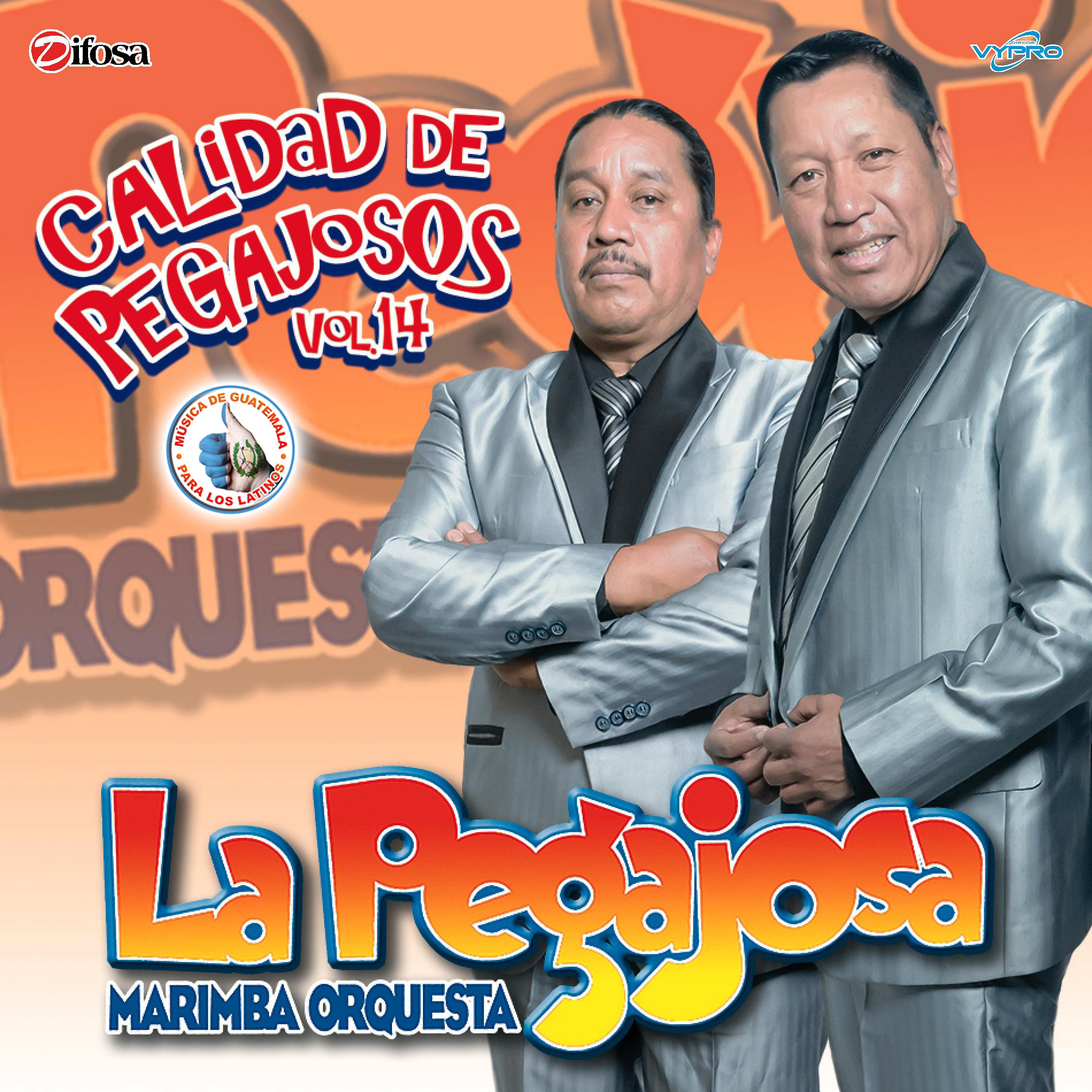 Постер альбома Calidad de Pegajosos Vol. 14. Música de Guatemala para los Latinos