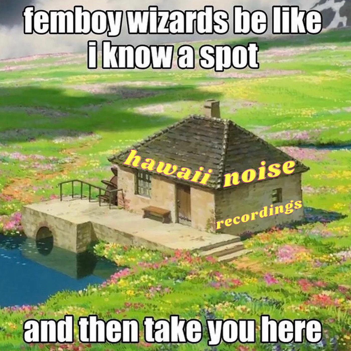 Постер альбома Femboy Wizards Be Like I Know a Spot, and Then Take You Here