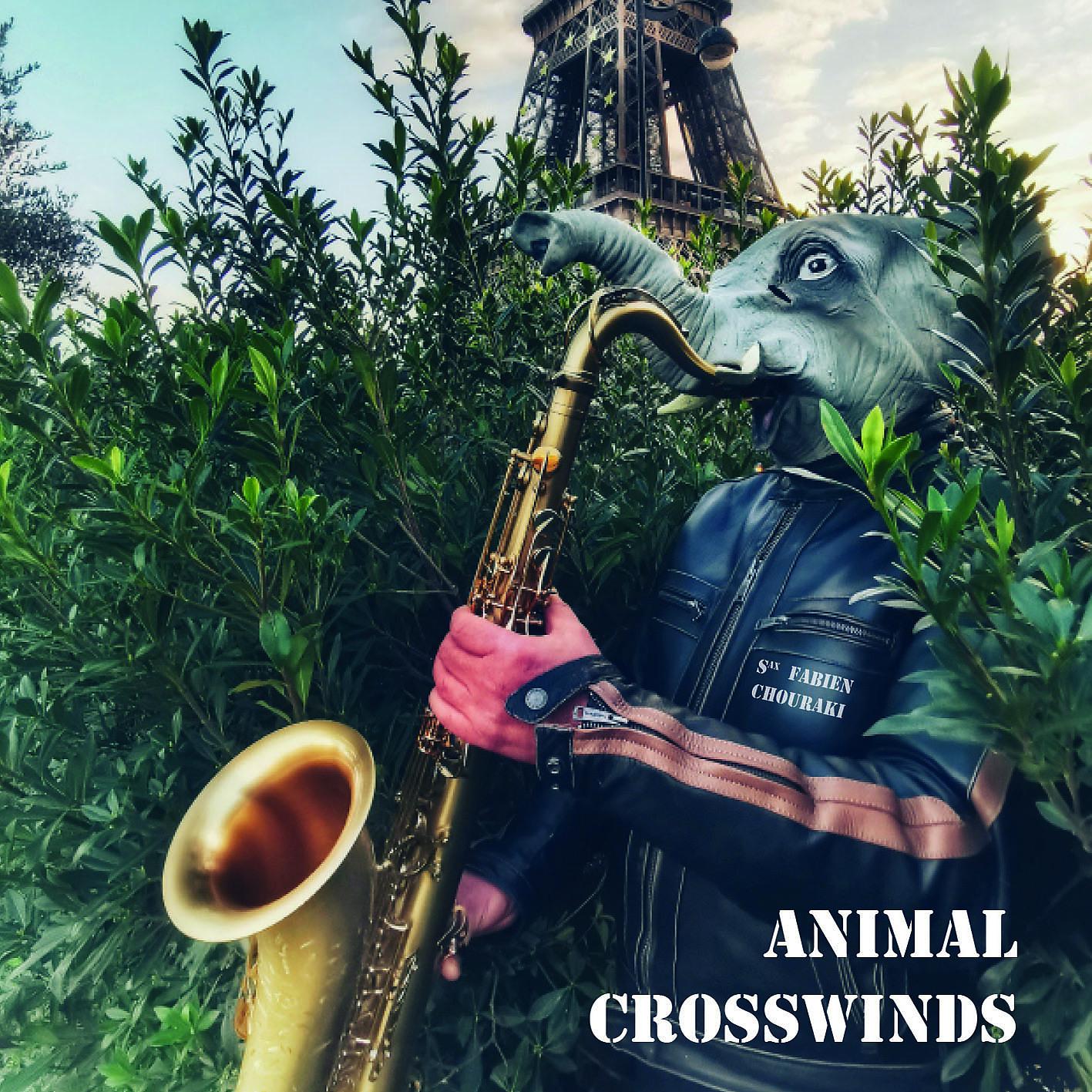 Постер альбома Animal crosswinds
