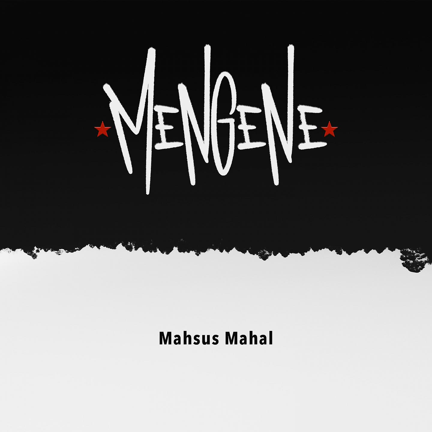 Постер альбома Mahsus Mahal