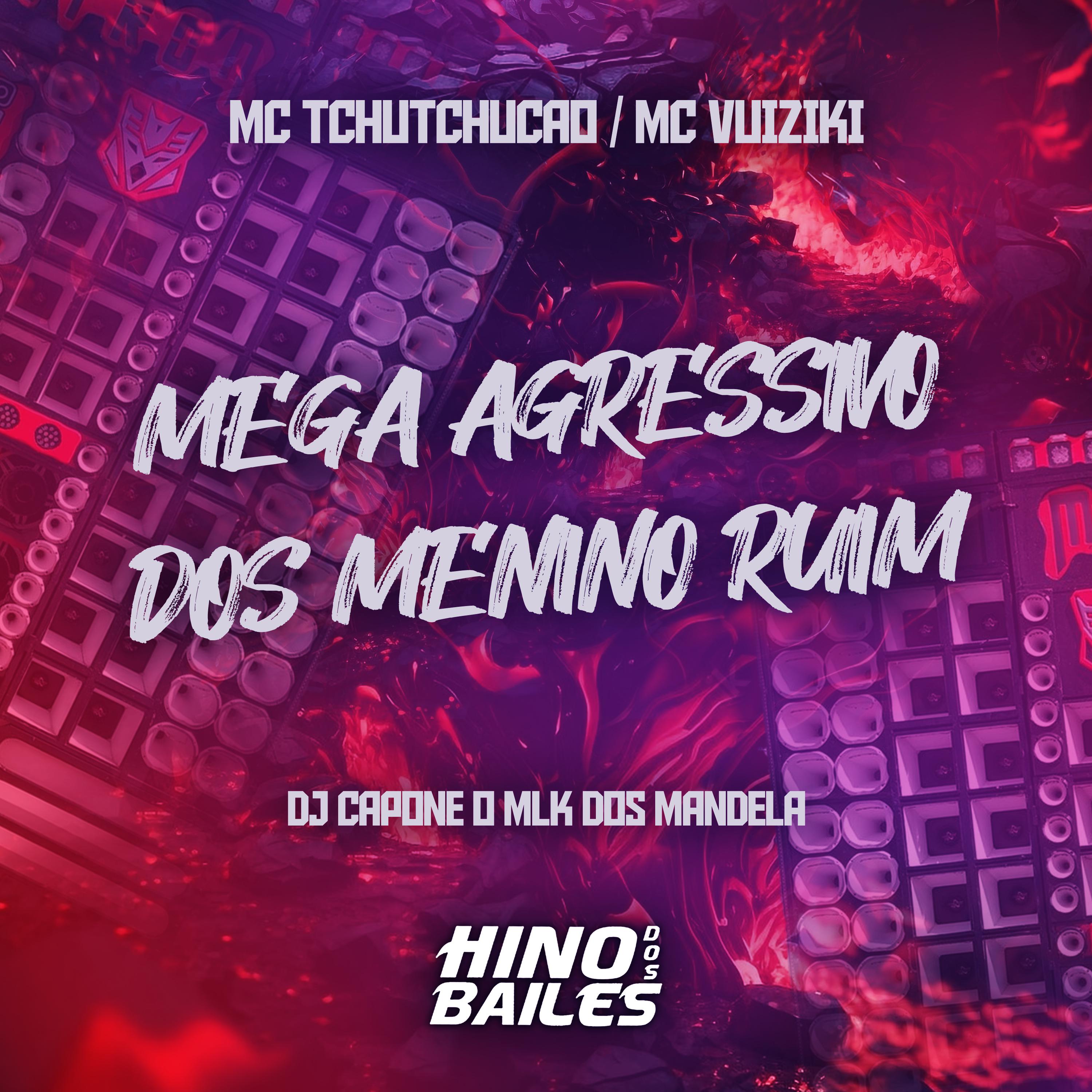 Постер альбома Mega Agressivo dos Menino Ruim