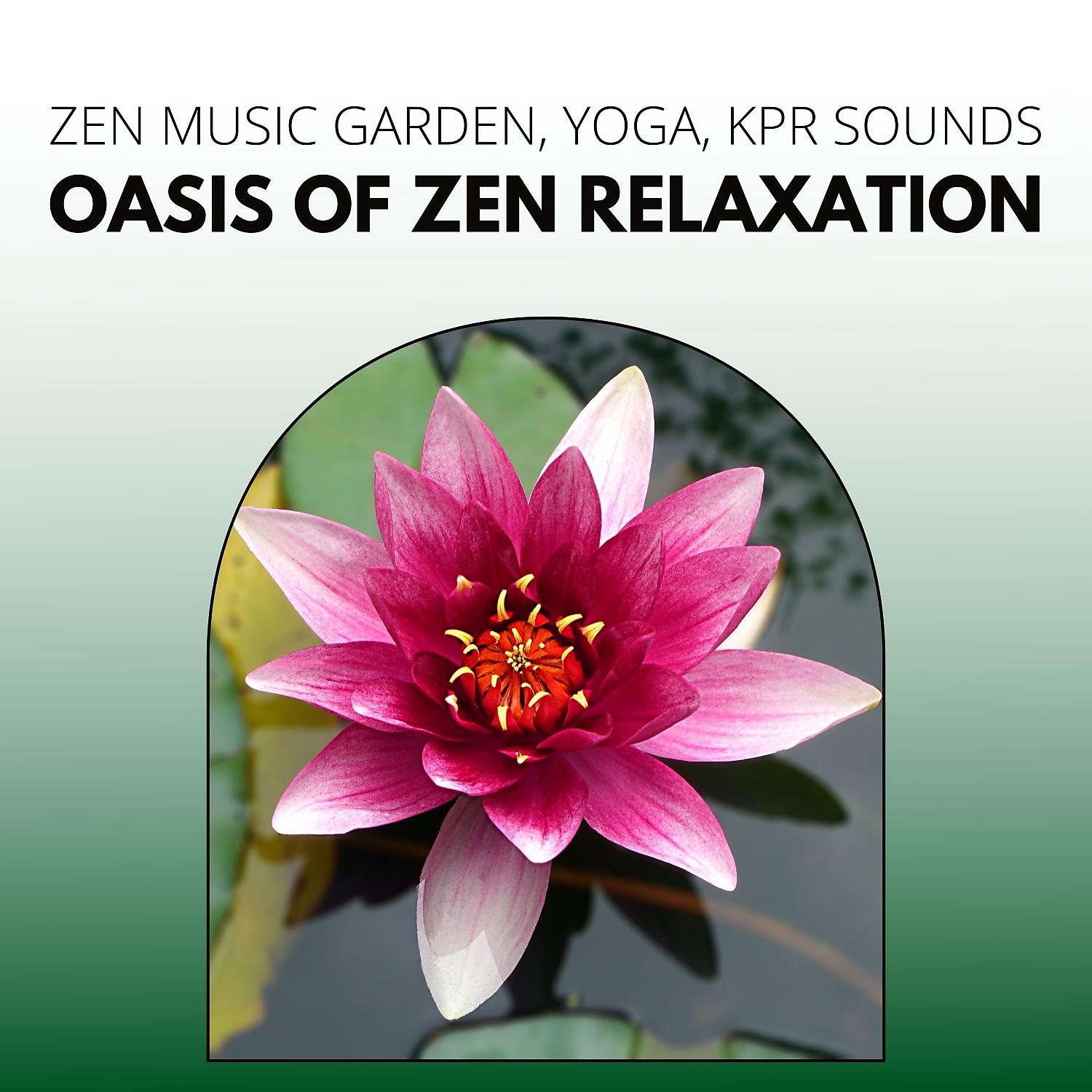 Постер альбома Oasis of Zen Relaxation