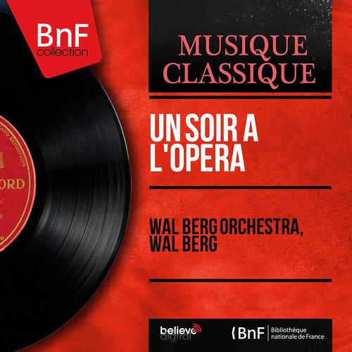 Постер альбома Un soir à l'opéra (Mono Version)