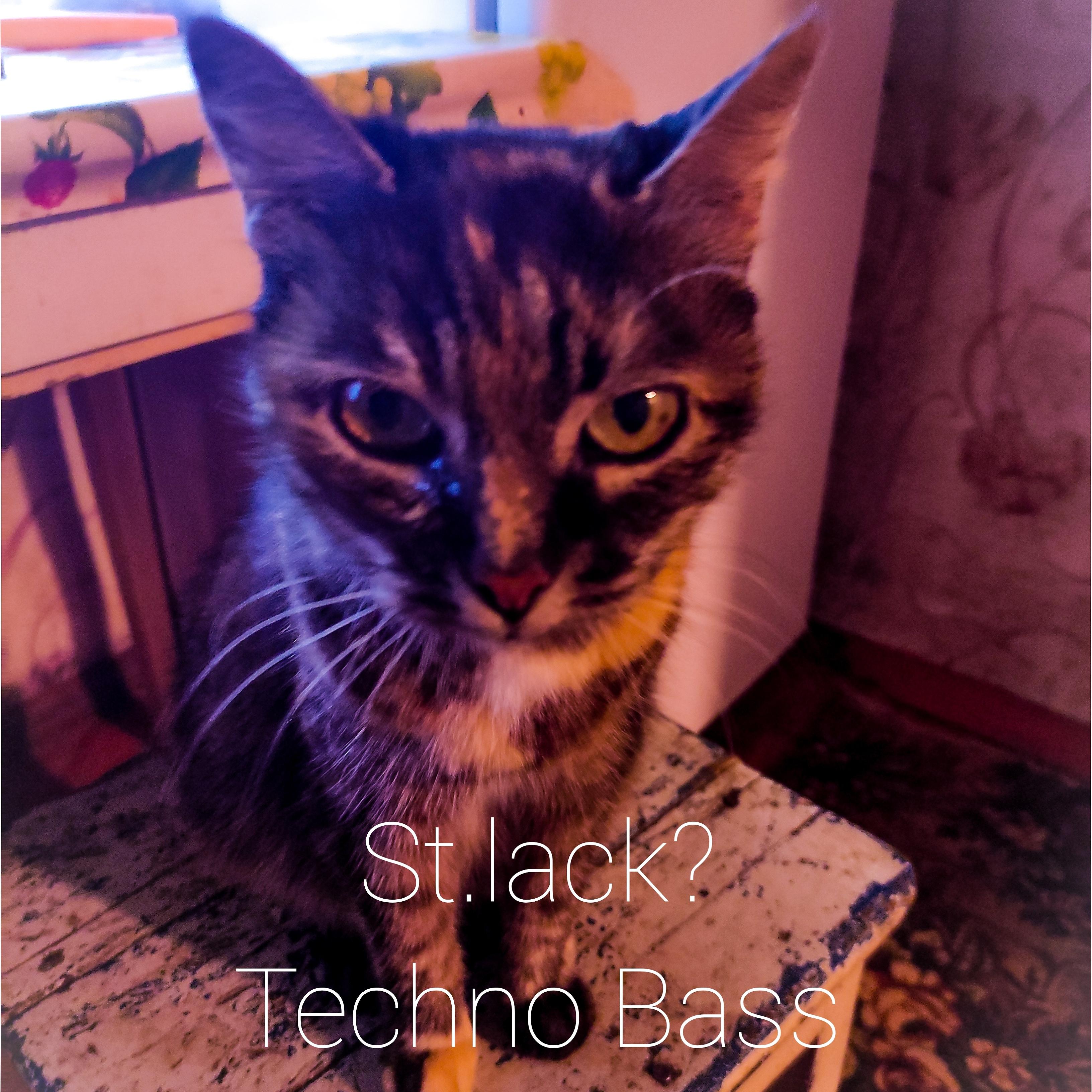Постер альбома Techno Bass