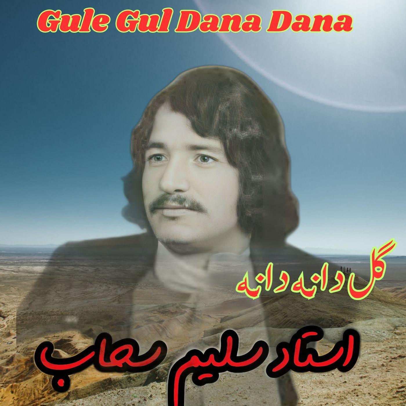 Постер альбома Gule Gul Dana Dana