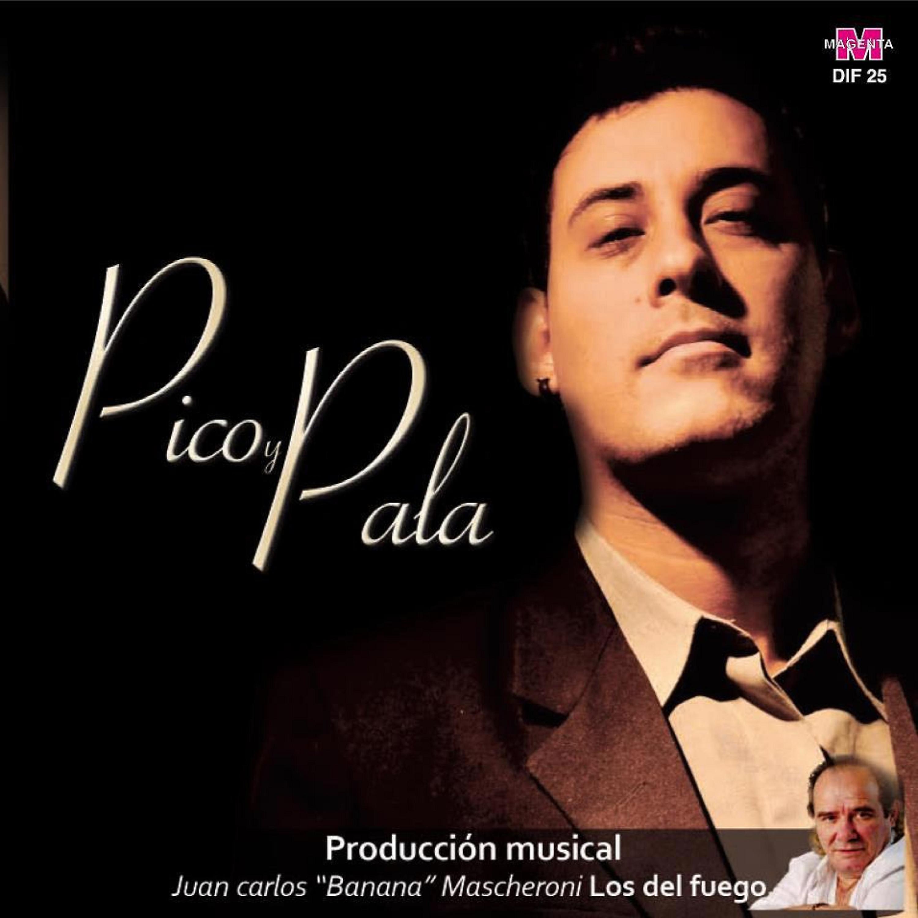 Постер альбома Pico y Pala