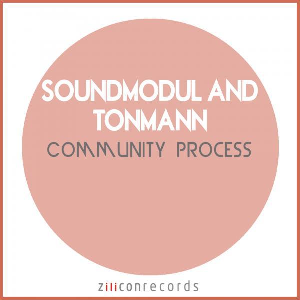 Постер альбома Community Process