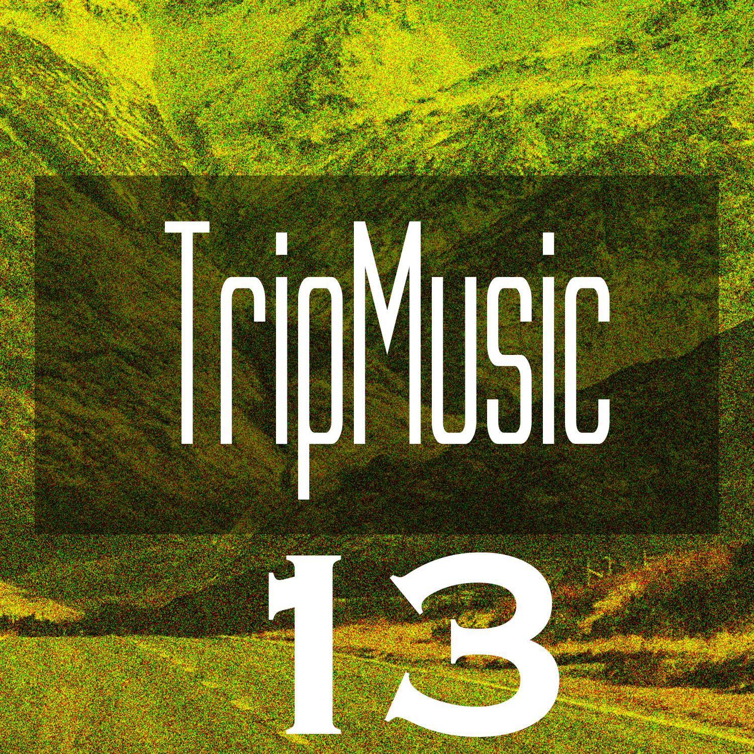 Постер альбома TripMusic 13
