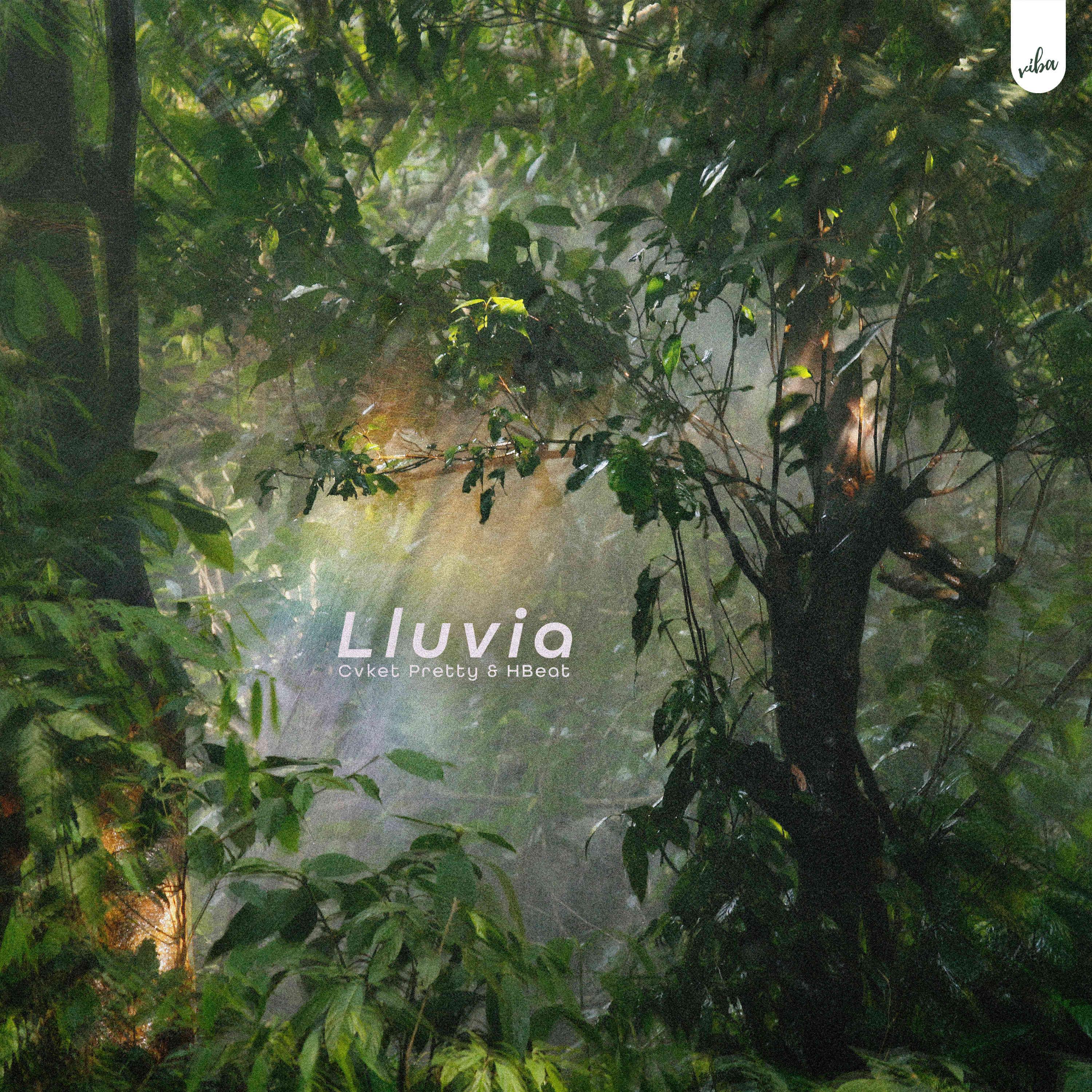 Постер альбома Lluvia