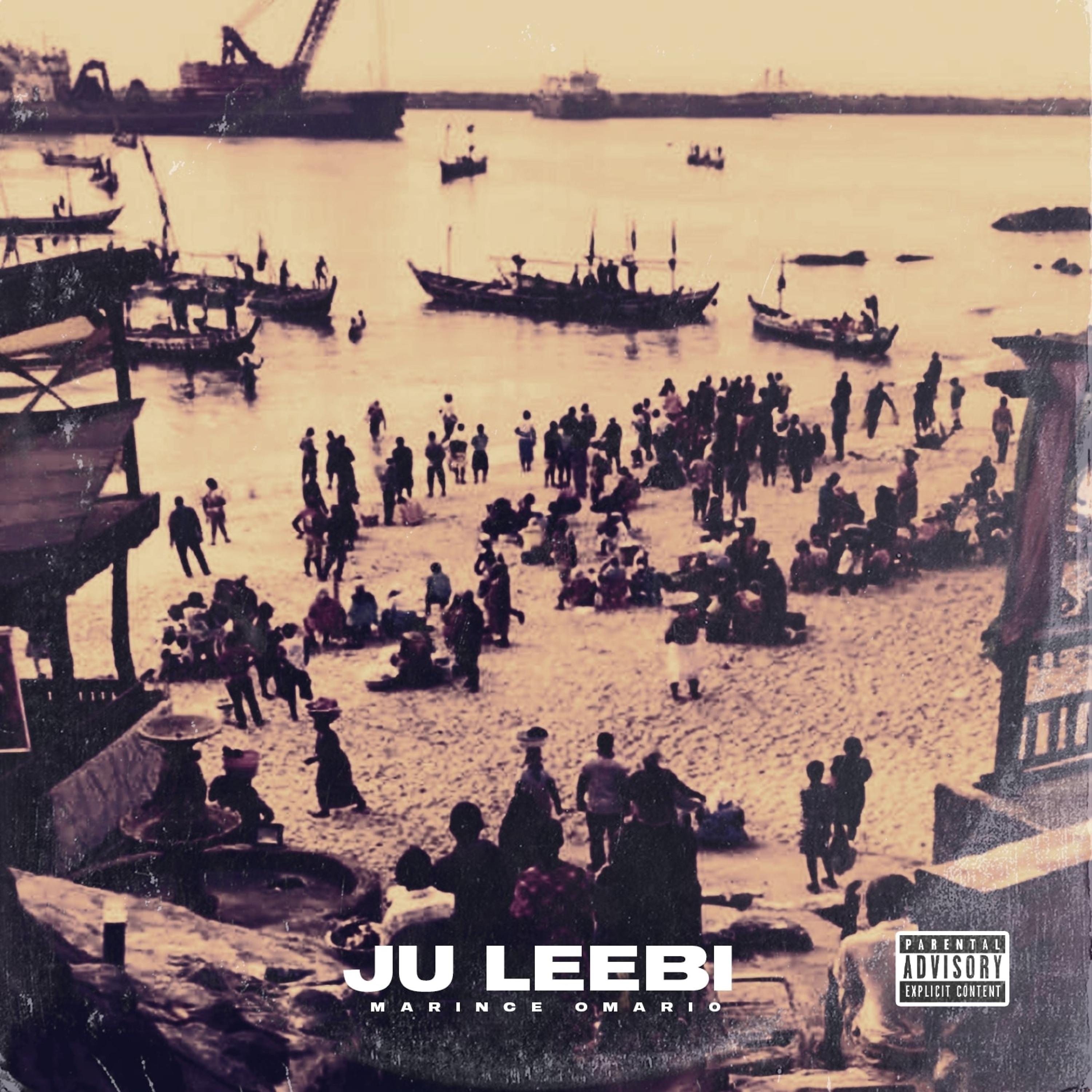 Постер альбома Ju Leebi
