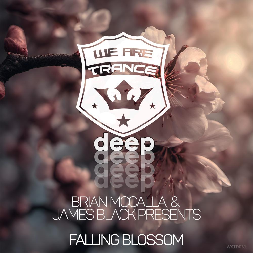 Постер альбома Falling Blossom