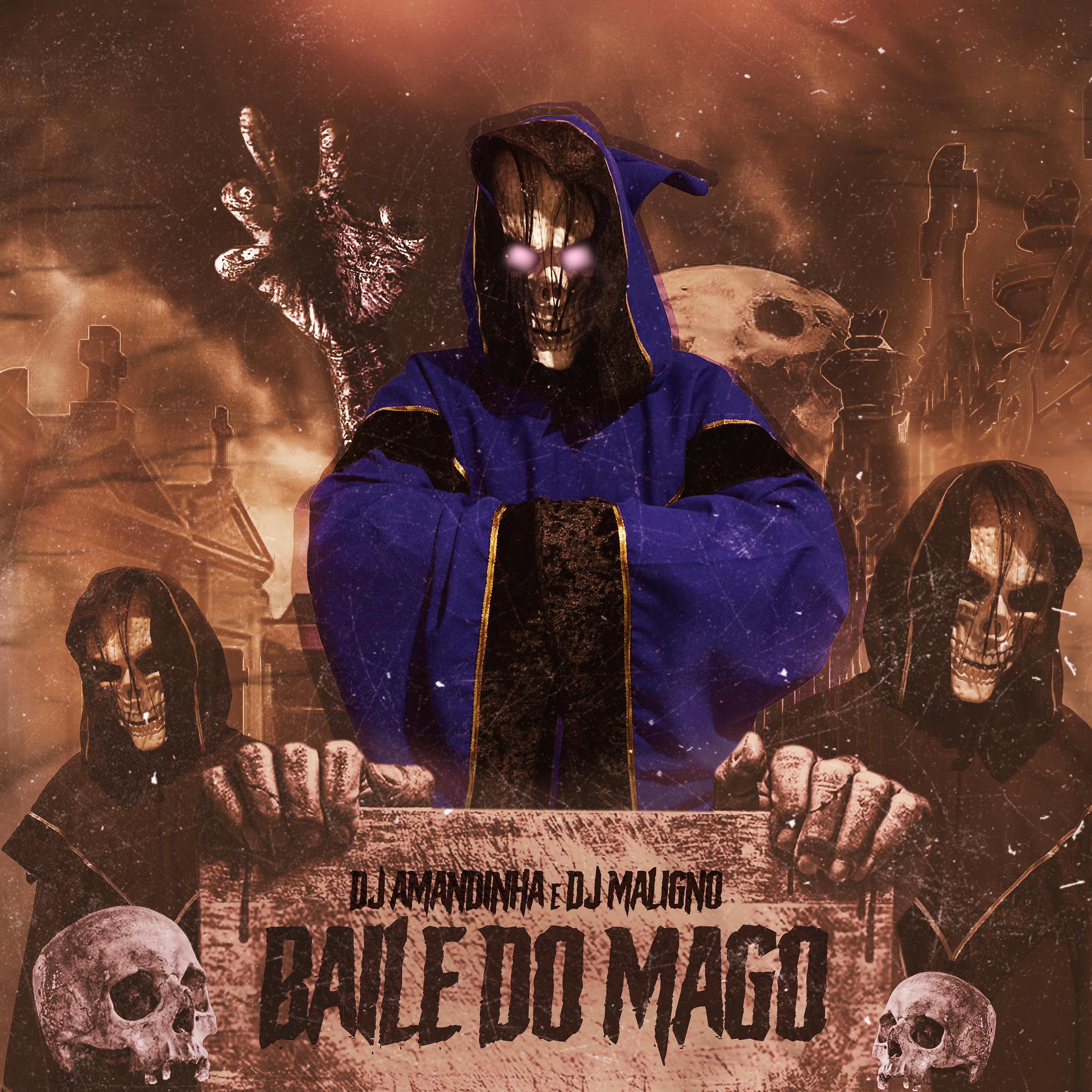 Постер альбома Baile do Mago
