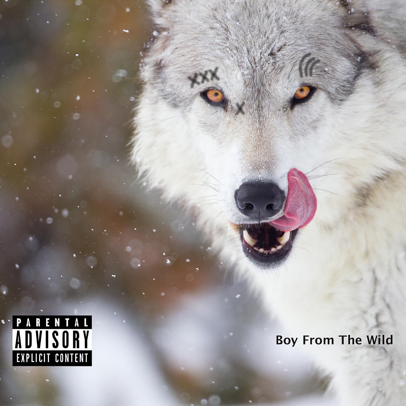 Постер альбома Boy from the Wild