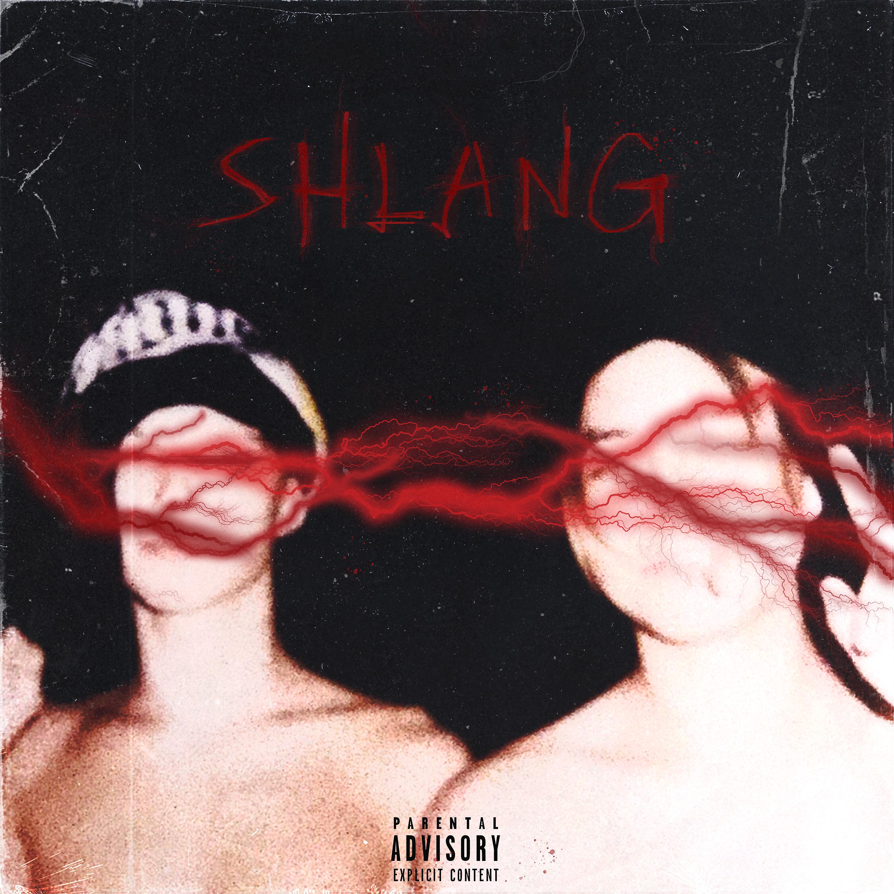 Постер альбома shlang (prod. by FLACCO)