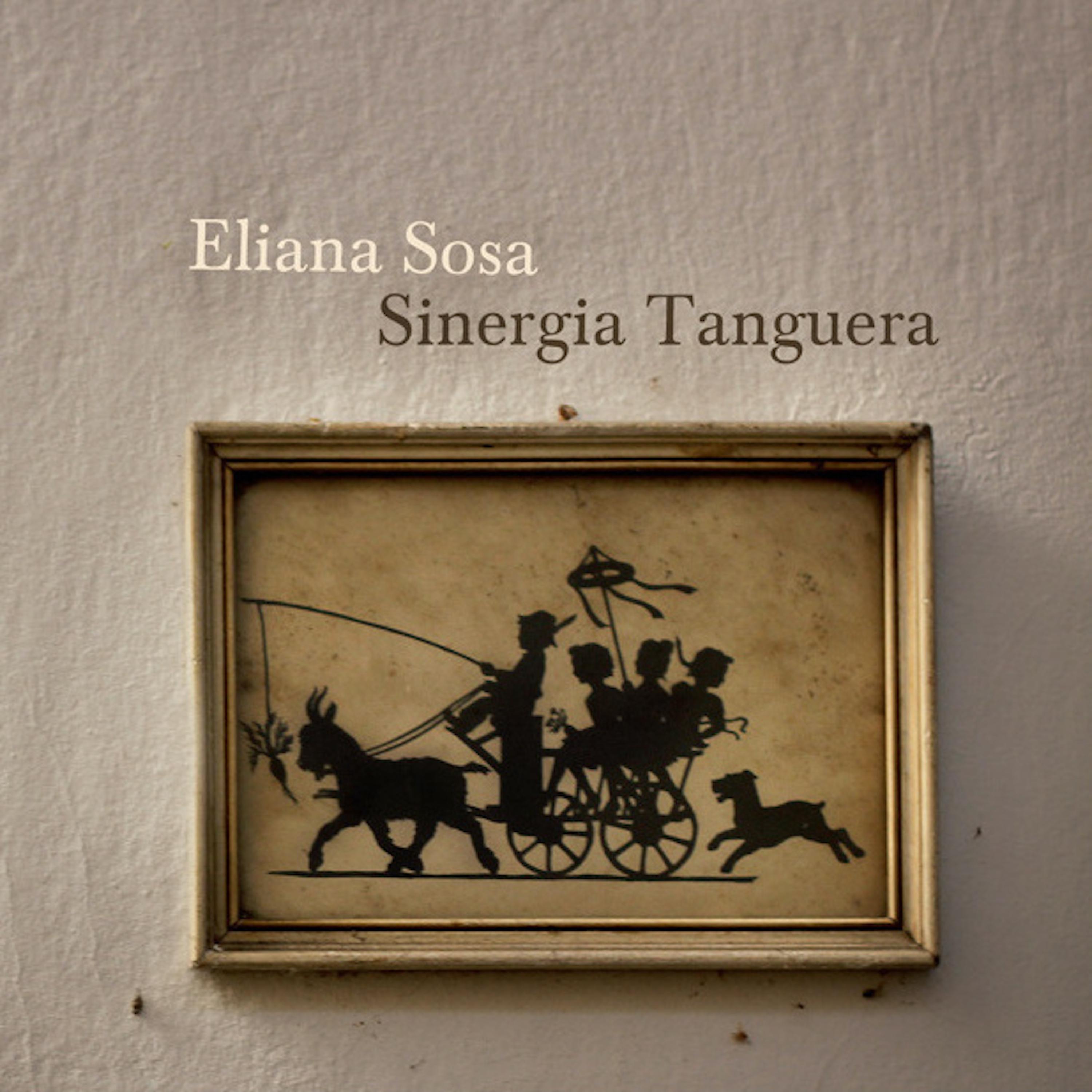 Постер альбома Sinergia Tanguera