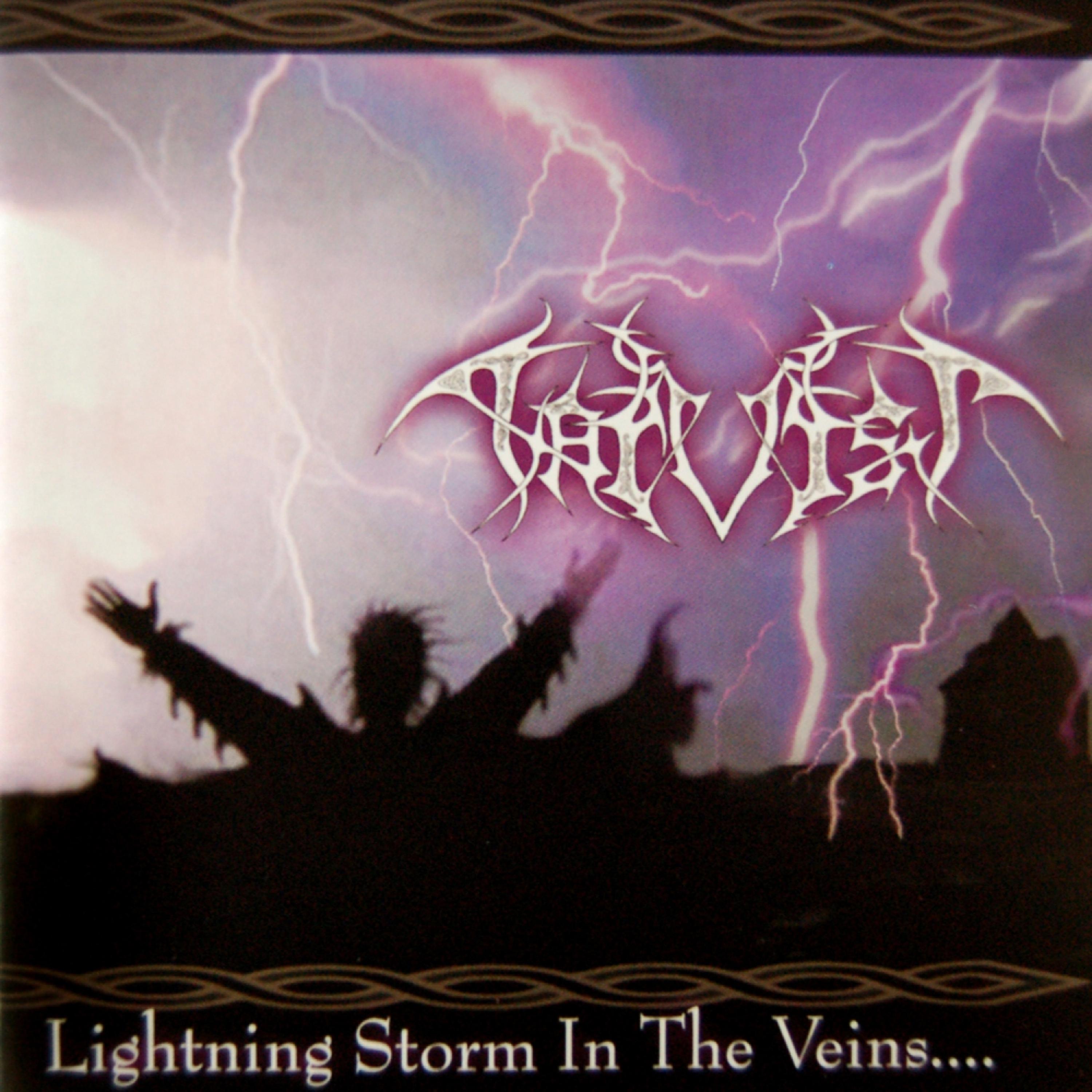 Постер альбома Lightning Storm in the Veins‚Ä¶