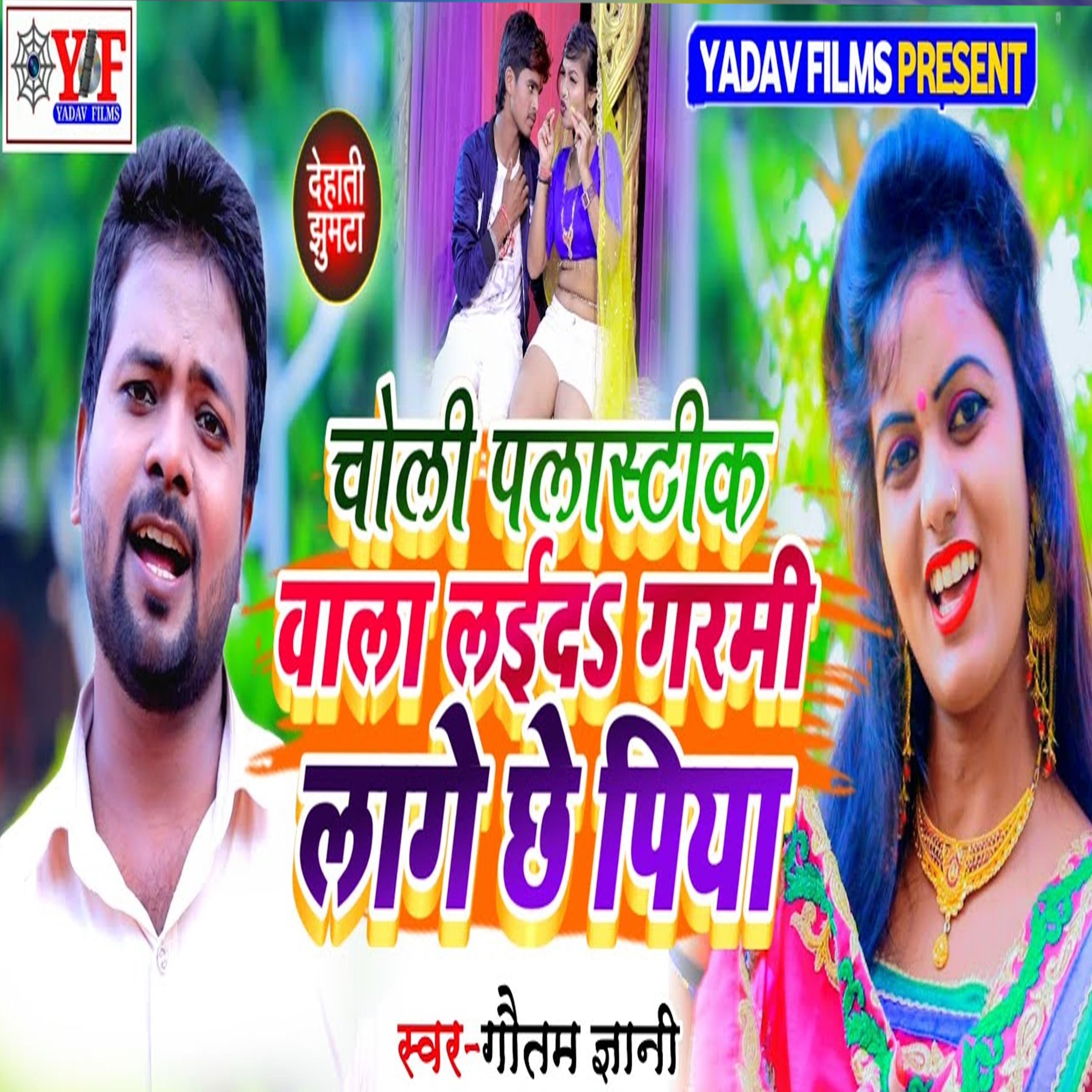Постер альбома Choli Palashtik Wala Laiha