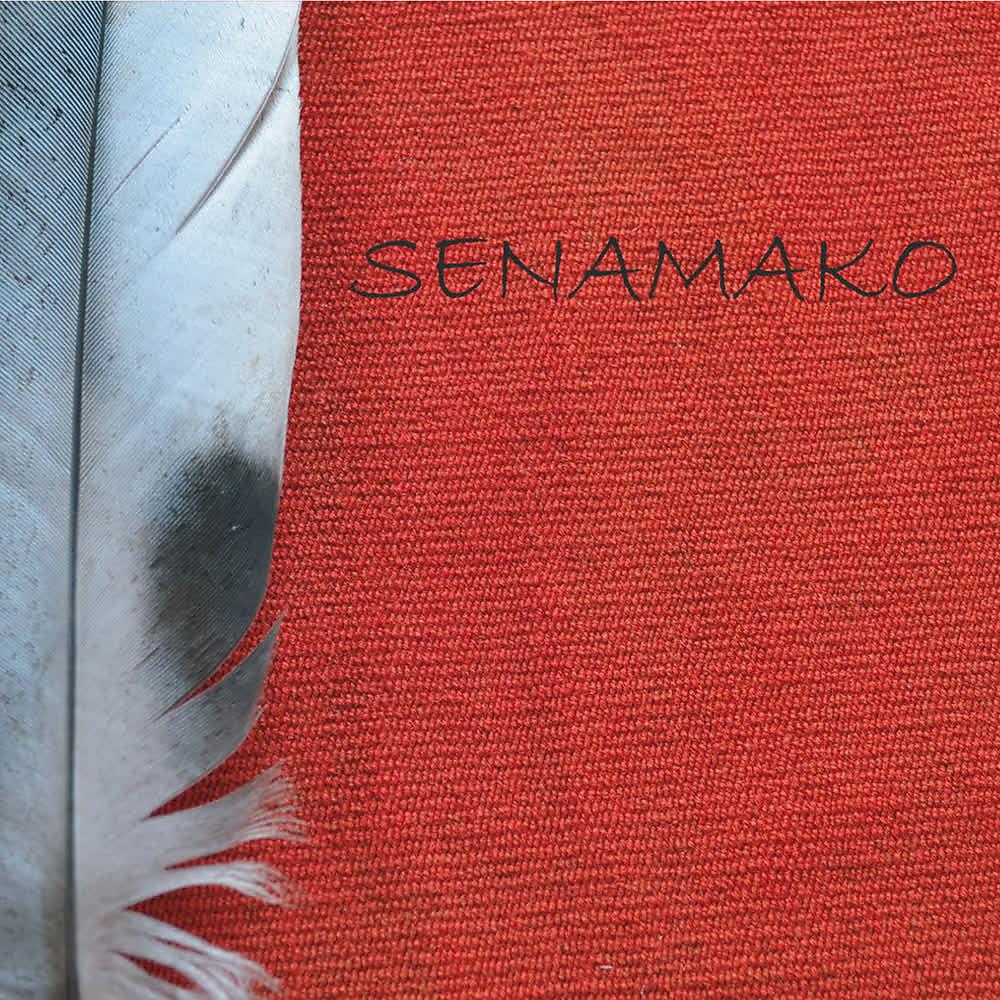 Постер альбома Senamako