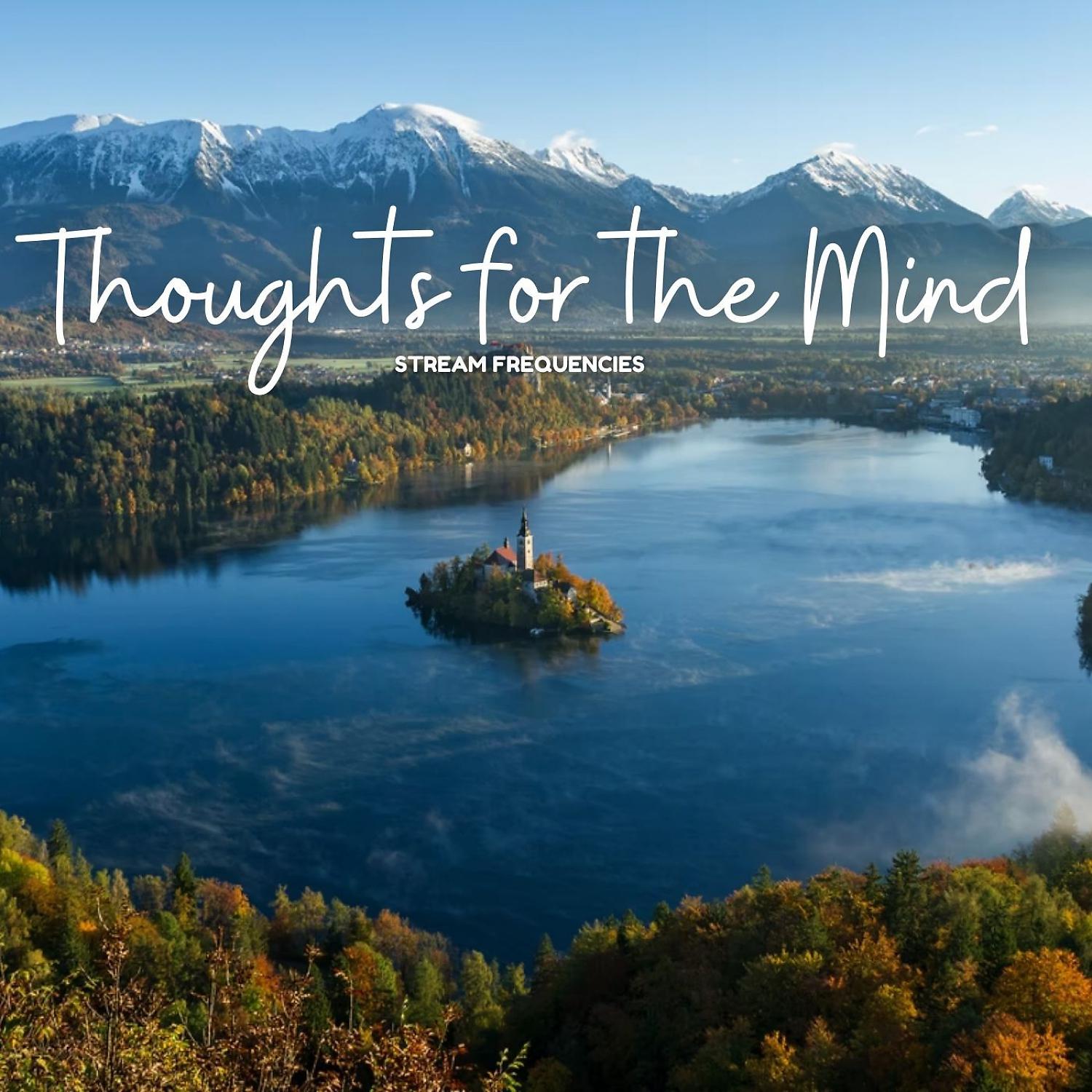 Постер альбома Stream Frequencies: Thoughts for the Mind