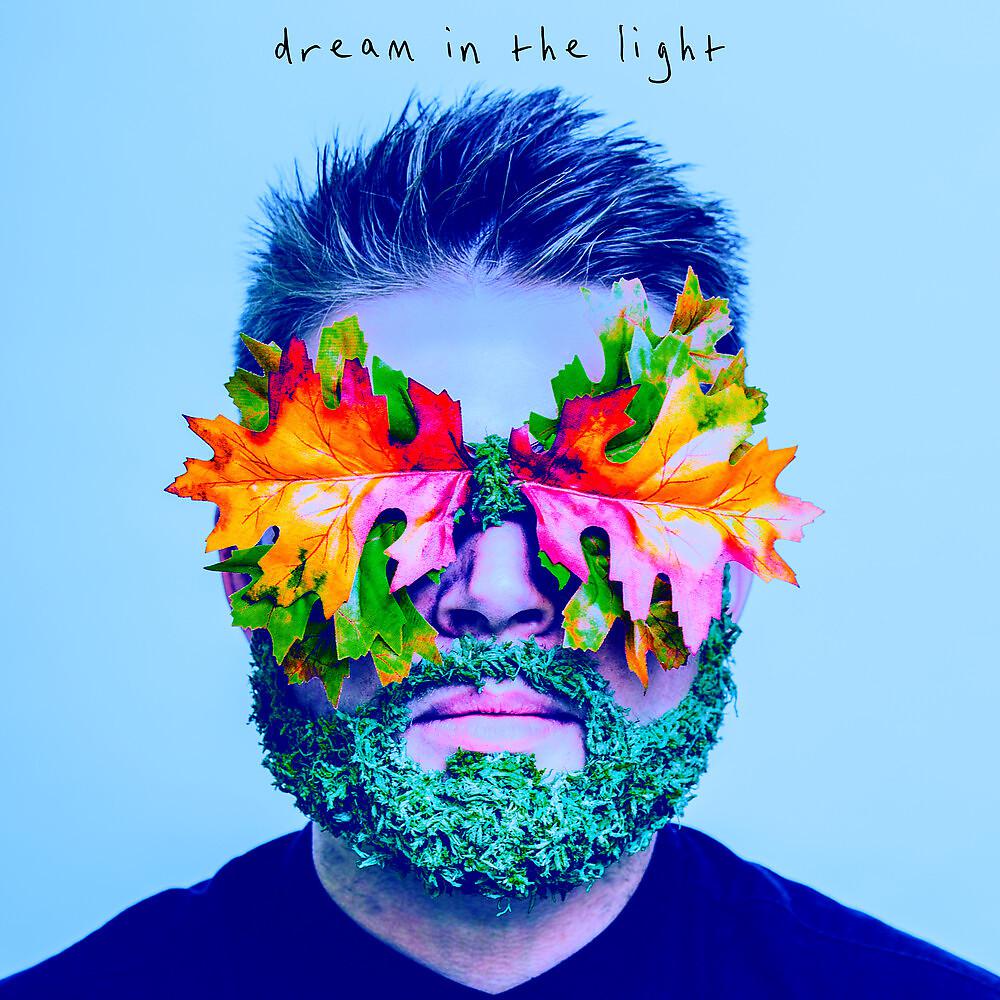 Постер альбома Dream in the Light