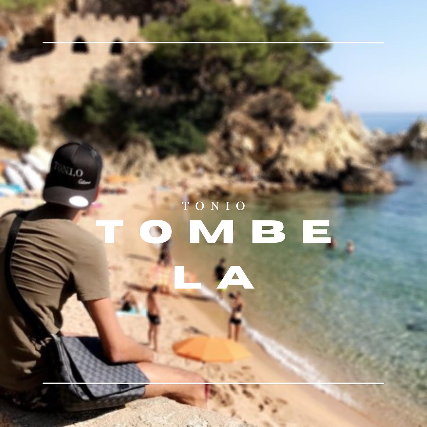 Постер альбома Tombe la