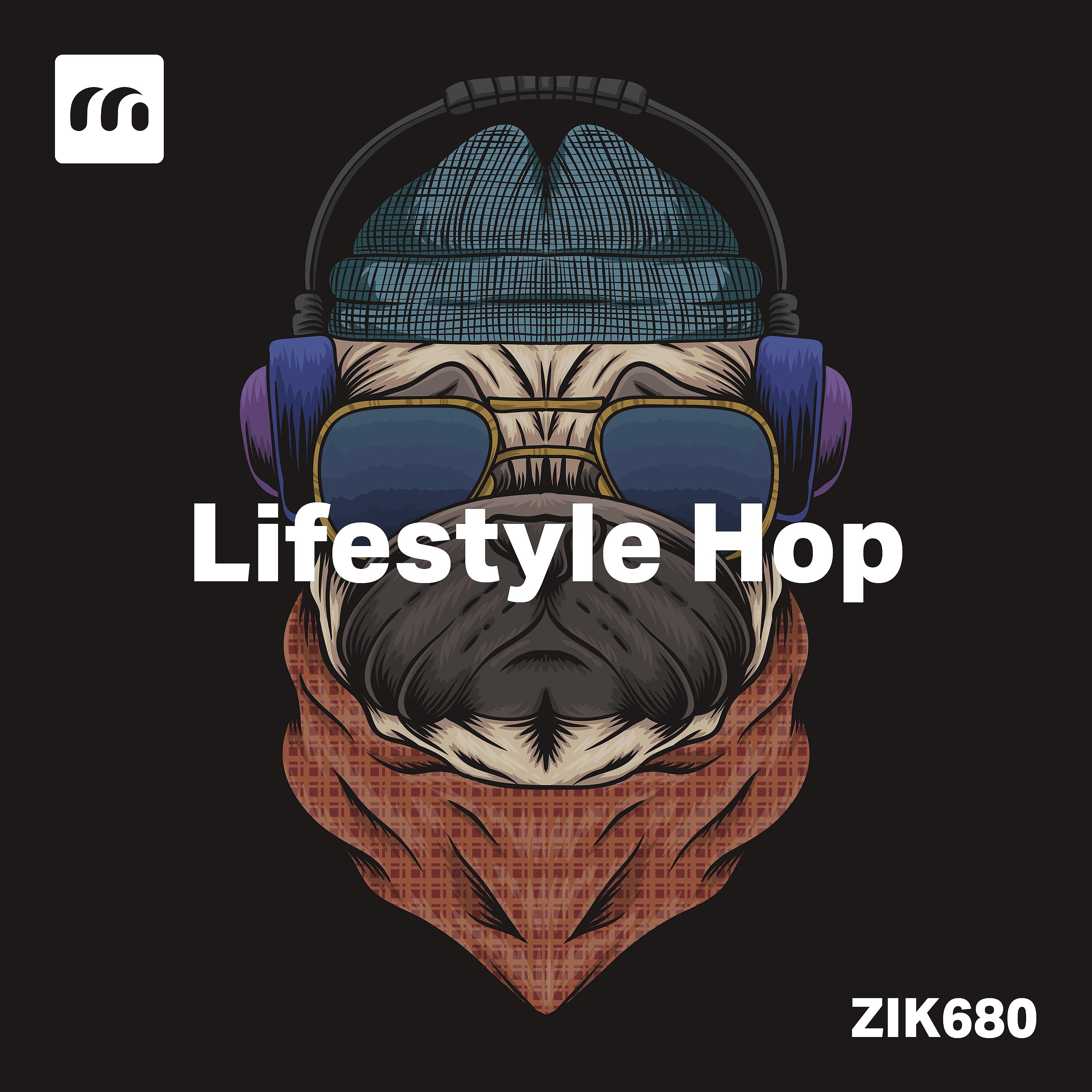 Постер альбома Lifestyle Hop