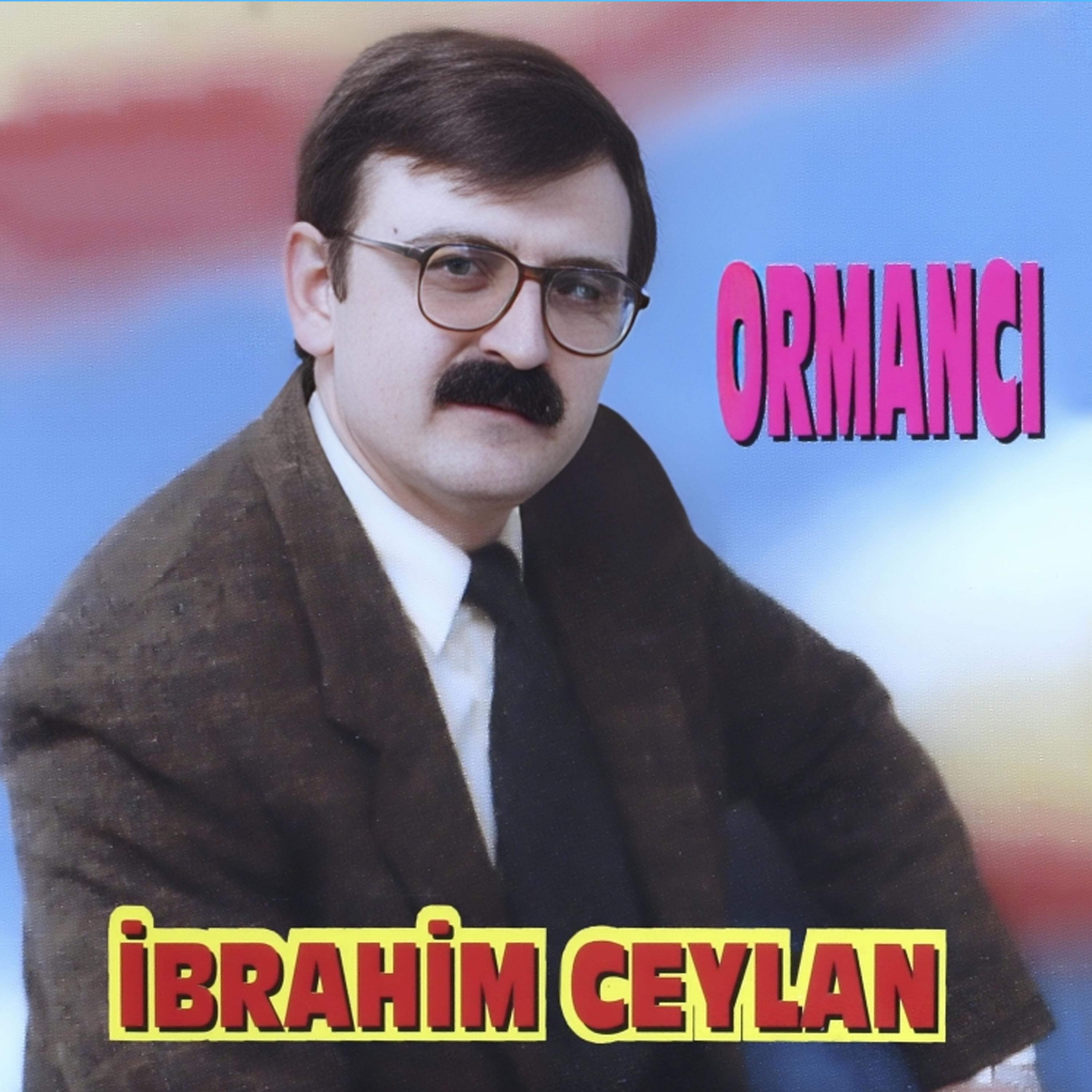 Постер альбома Ormancı