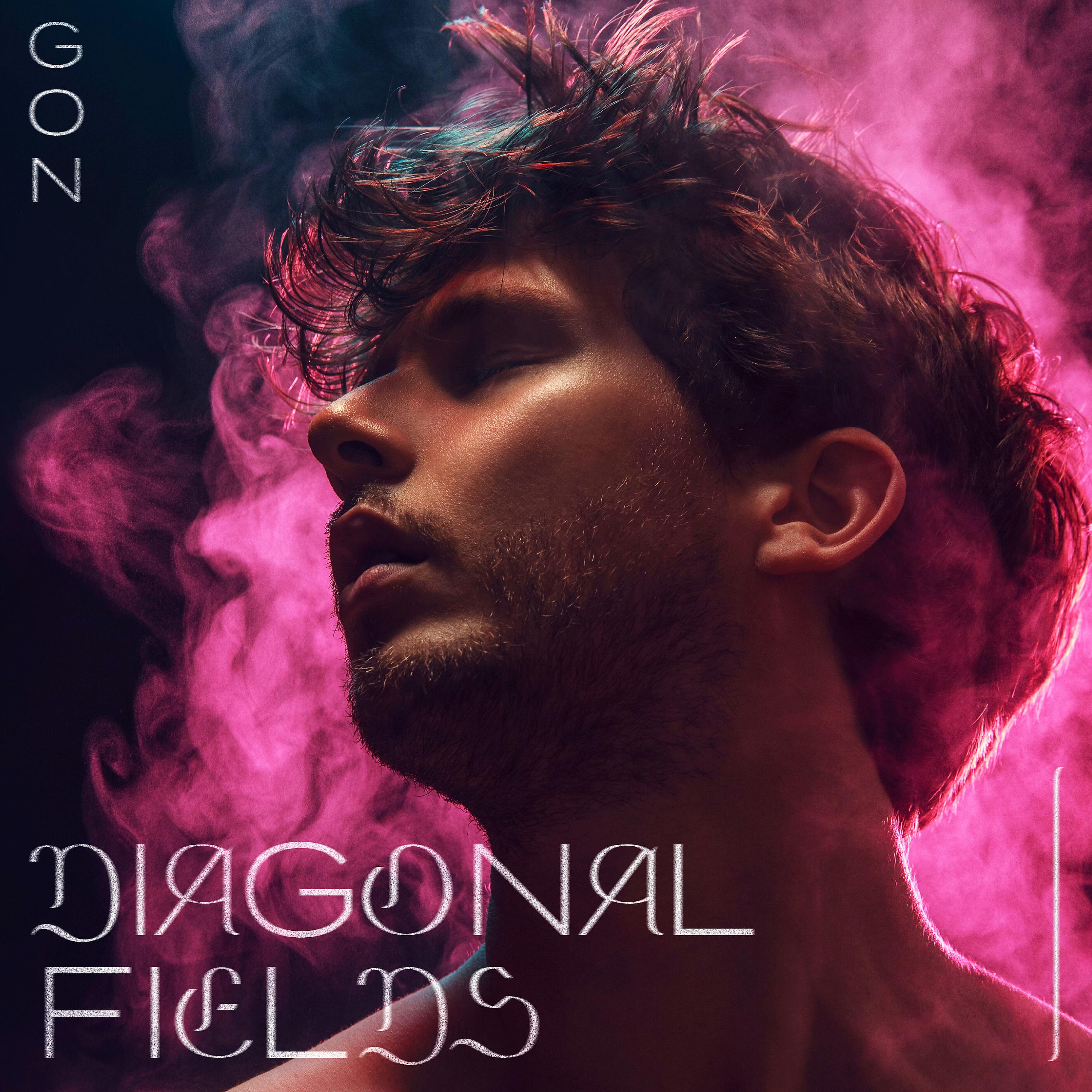 Постер альбома Diagonal Fields