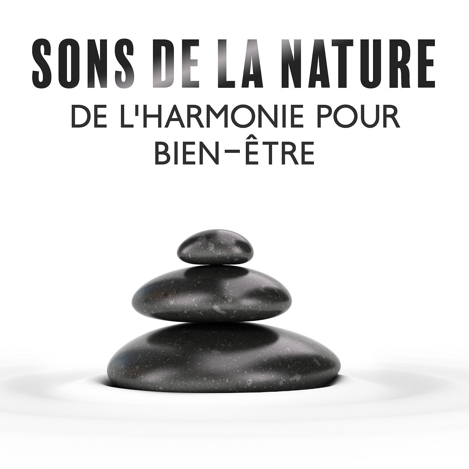 Постер альбома Sons de la nature de l'harmonie pour bien-être: Musique zen pour espace émotionnel, Meditation anti stress et relaxante de yoga