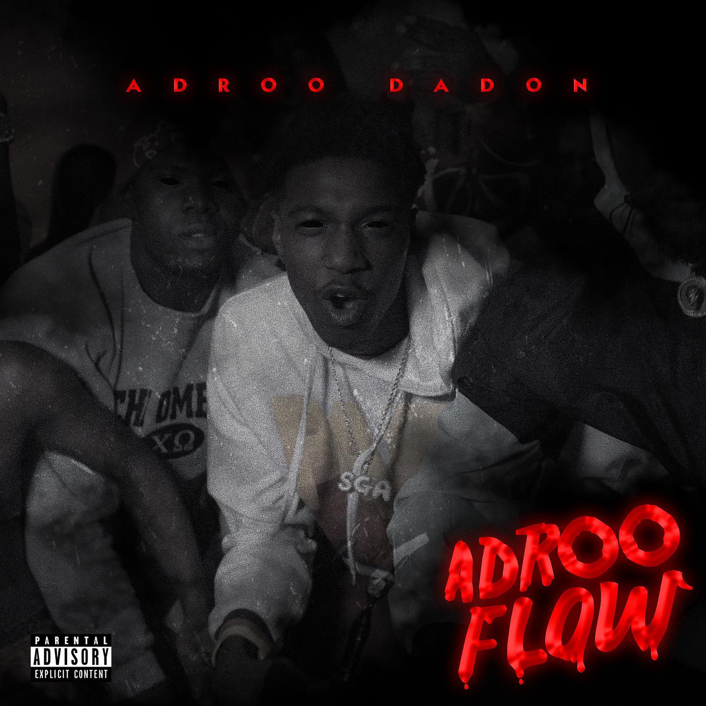 Постер альбома Adroo Flow