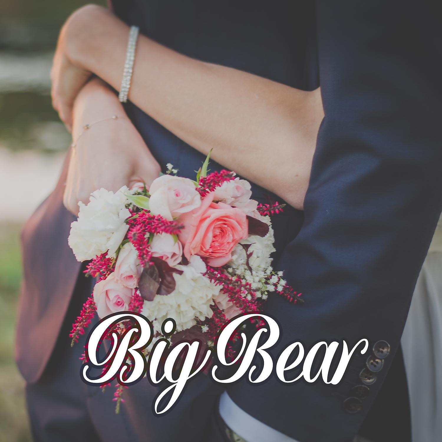 Постер альбома Big Bear - Flower for Beloved, Ideal Dating, Romance Time, Snowflakes on Miracle Face, Heat despite Winters, Christmas Gift
