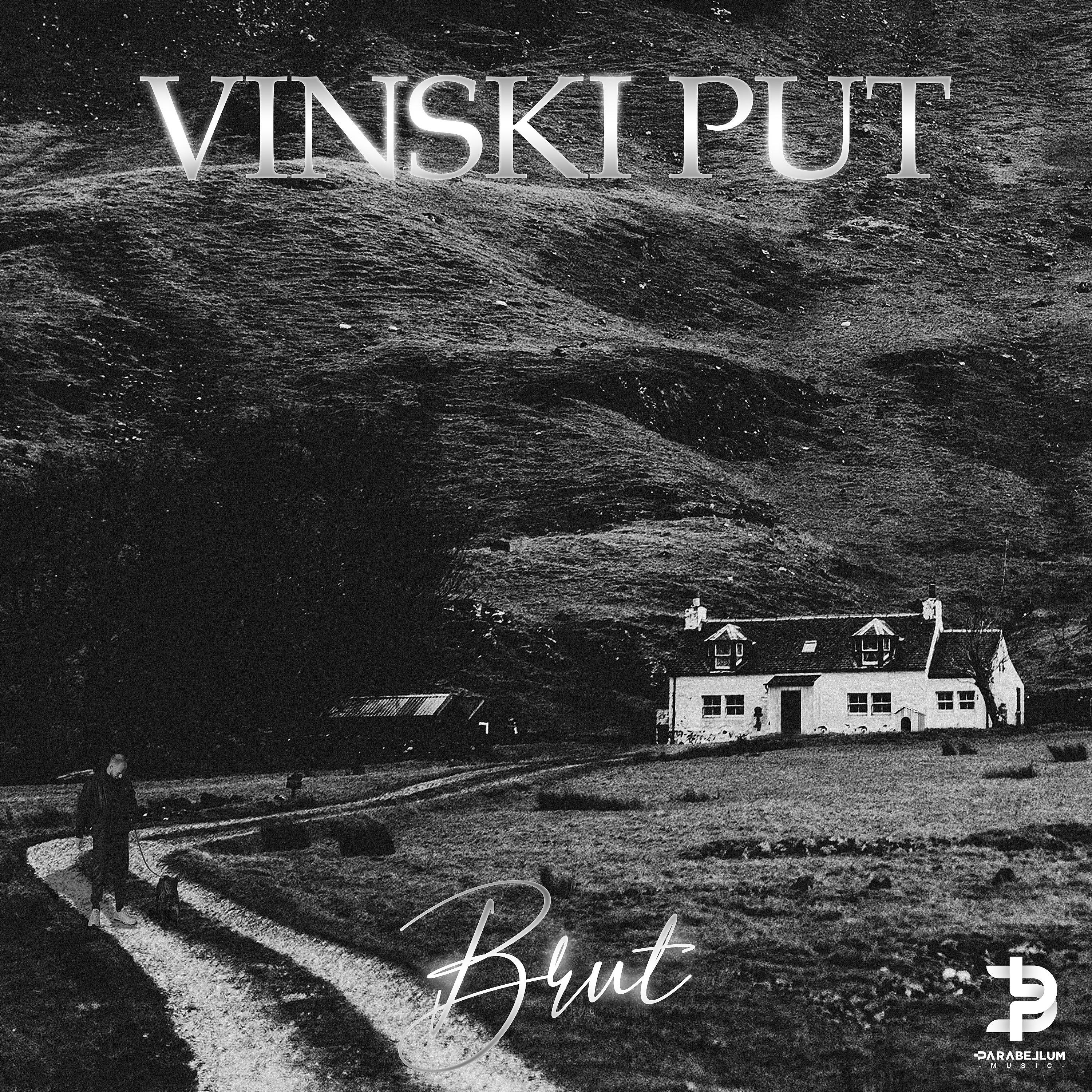 Постер альбома Vinski Put