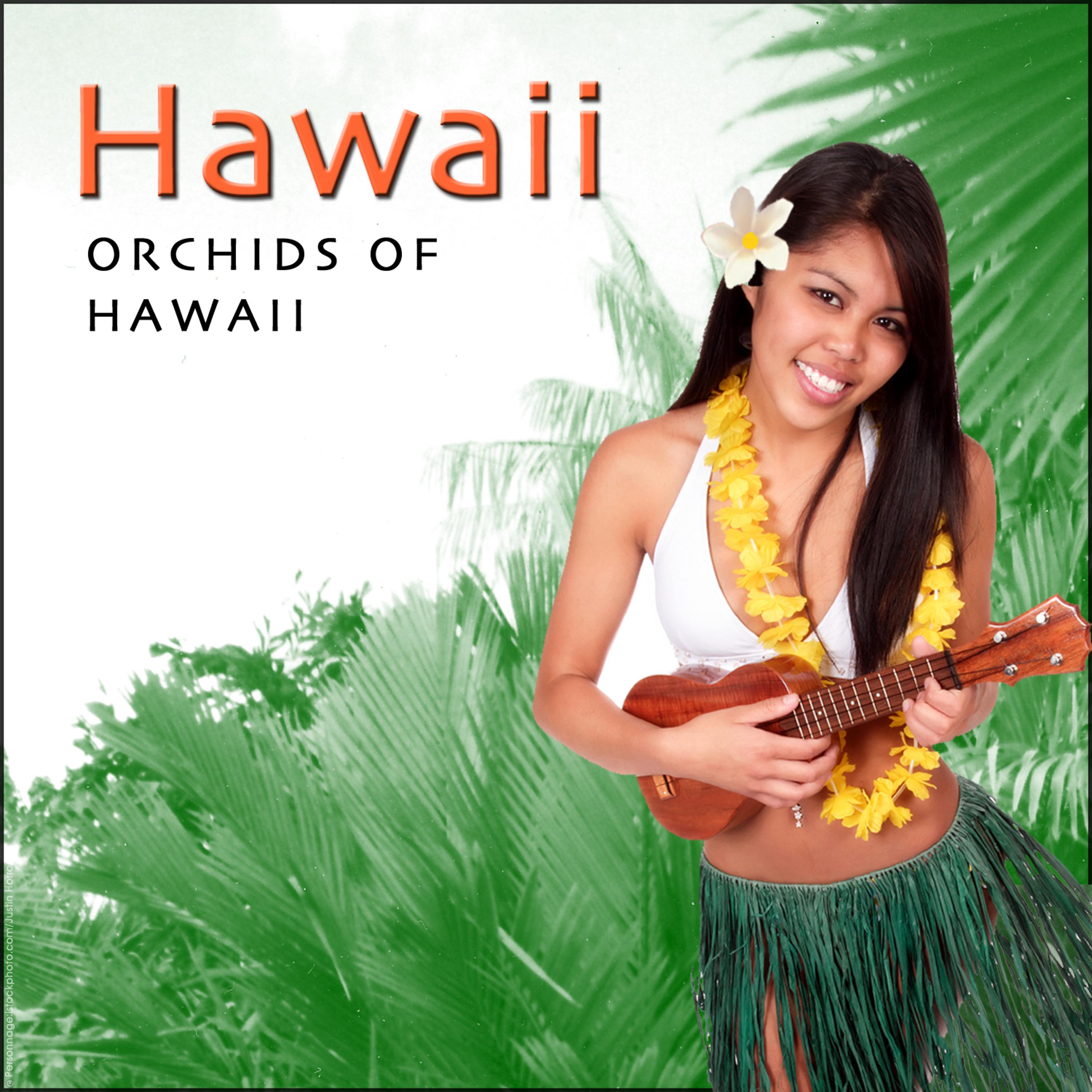 Постер альбома Orchids Of Hawaii - Hawaiian Guitar