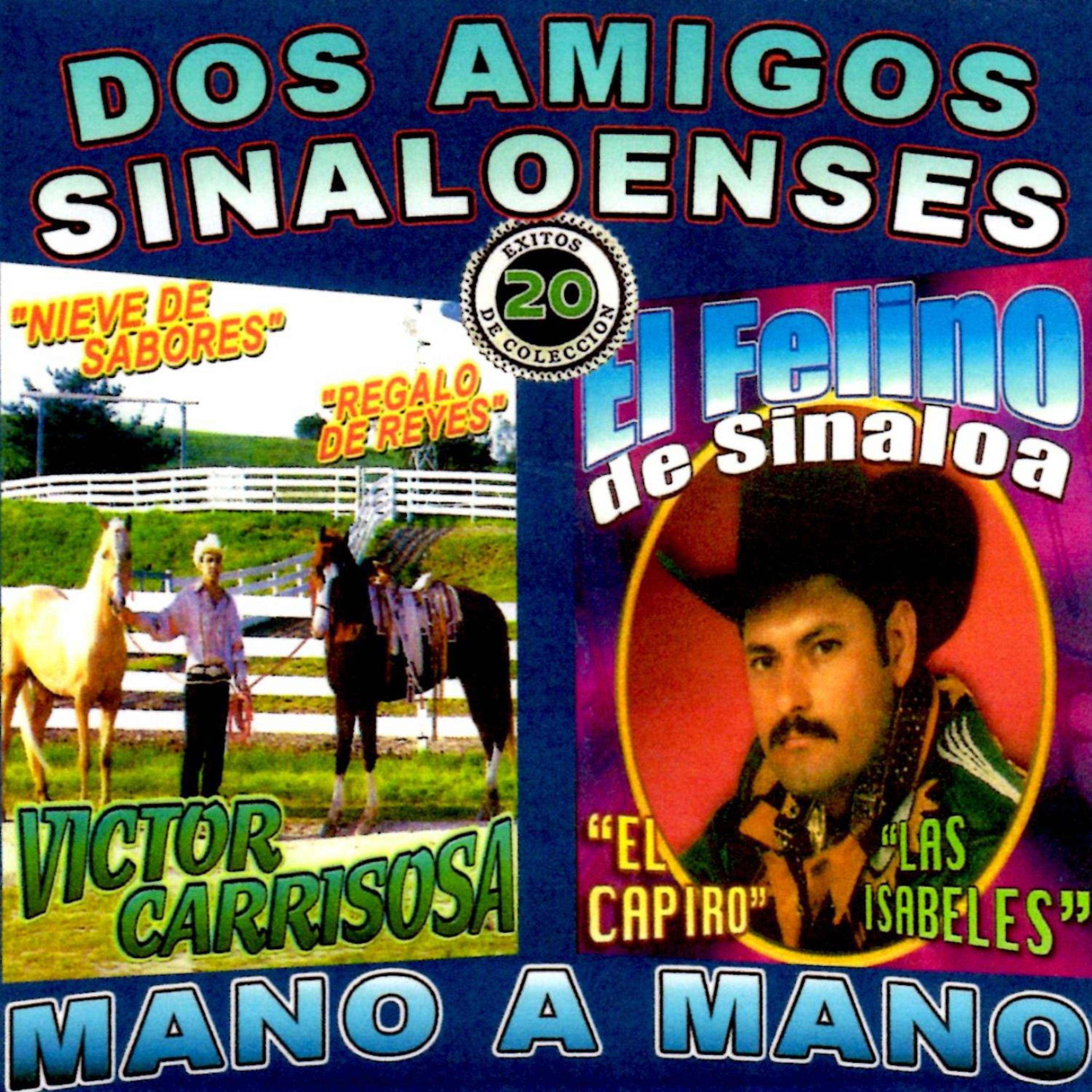 Постер альбома Dos Amigos Sinaloenses