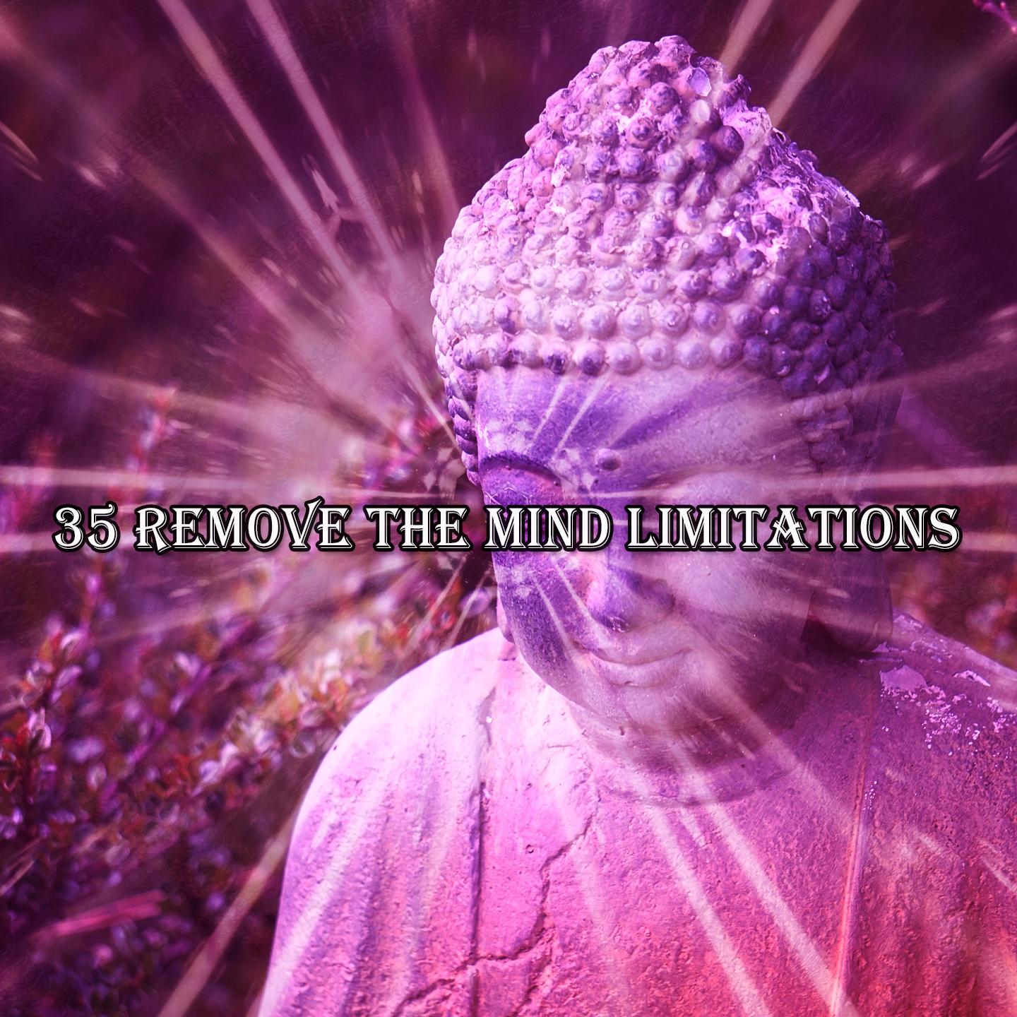 Постер альбома 35 Remove The Mind Limitations