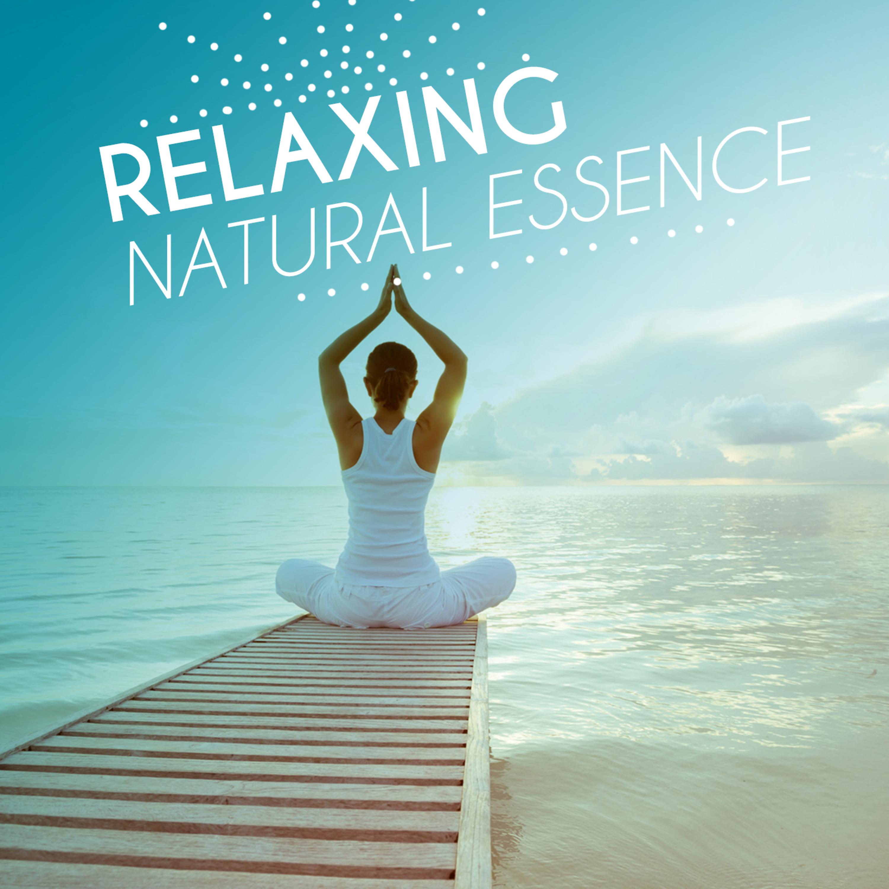Постер альбома Relaxing Natural Essence