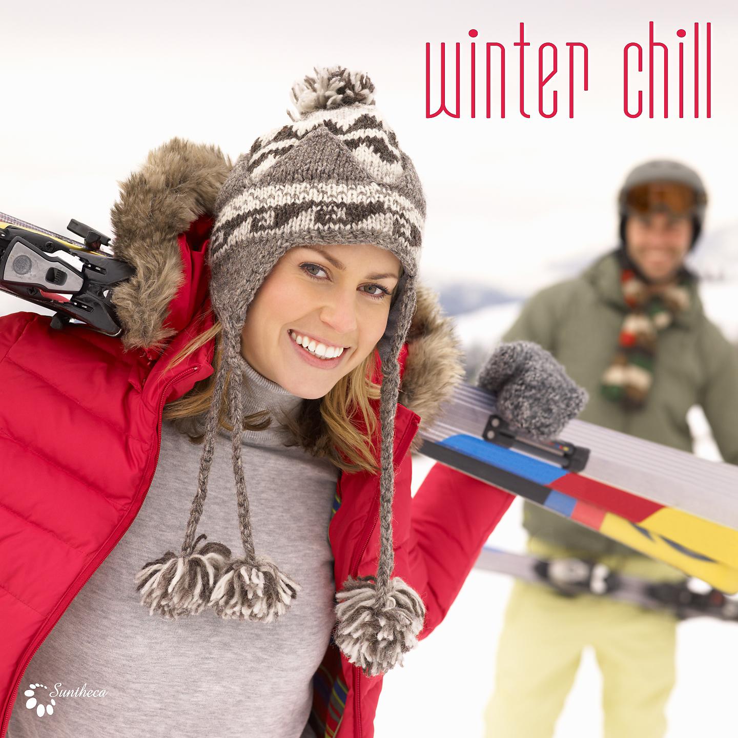 Постер альбома Winter Chill