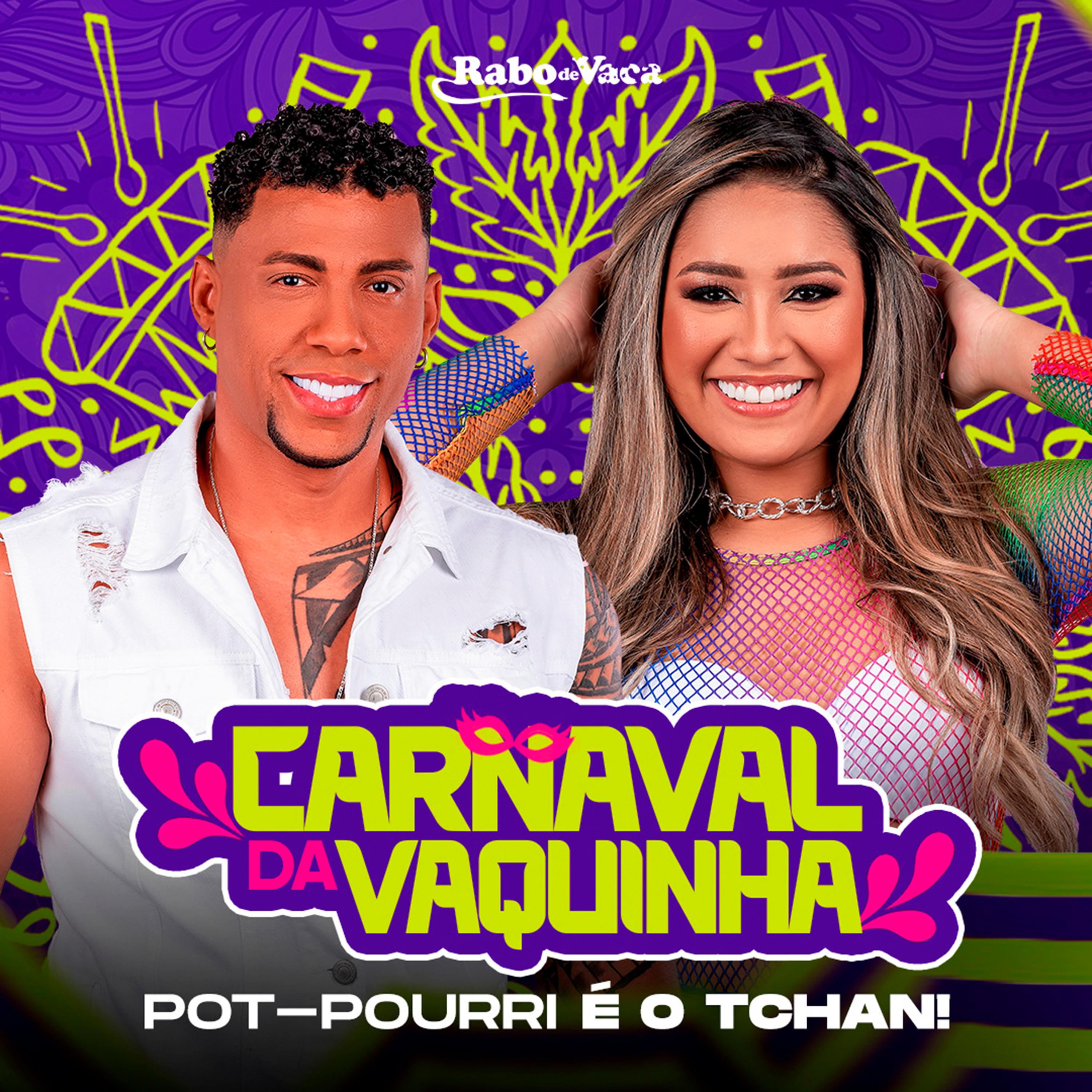 Постер альбома Carnaval da Vaquinha - Pau Que Nasce Torto / Melô do Tchan / Dança da Cordinha / Disque Tchan / Na Boquinha da Garrafa / Dança do Bumbum / Quebradeira / Paquerei