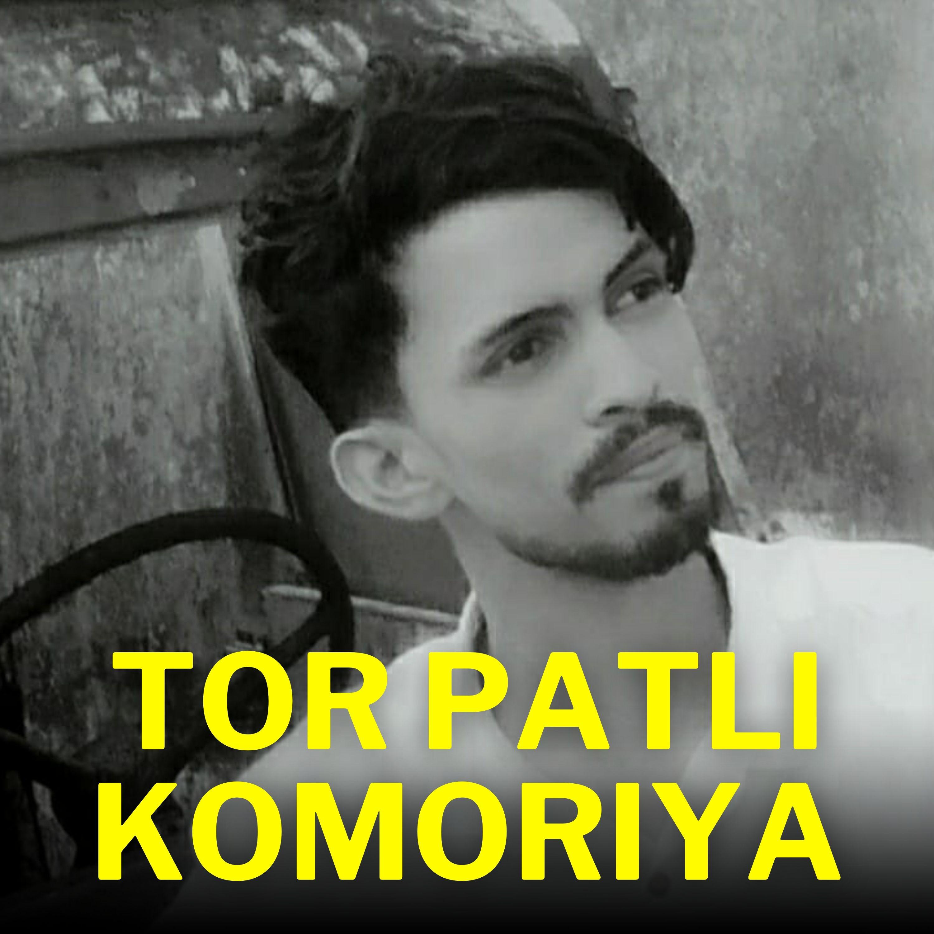 Постер альбома Tor Patli Komoriya , Pt. 2