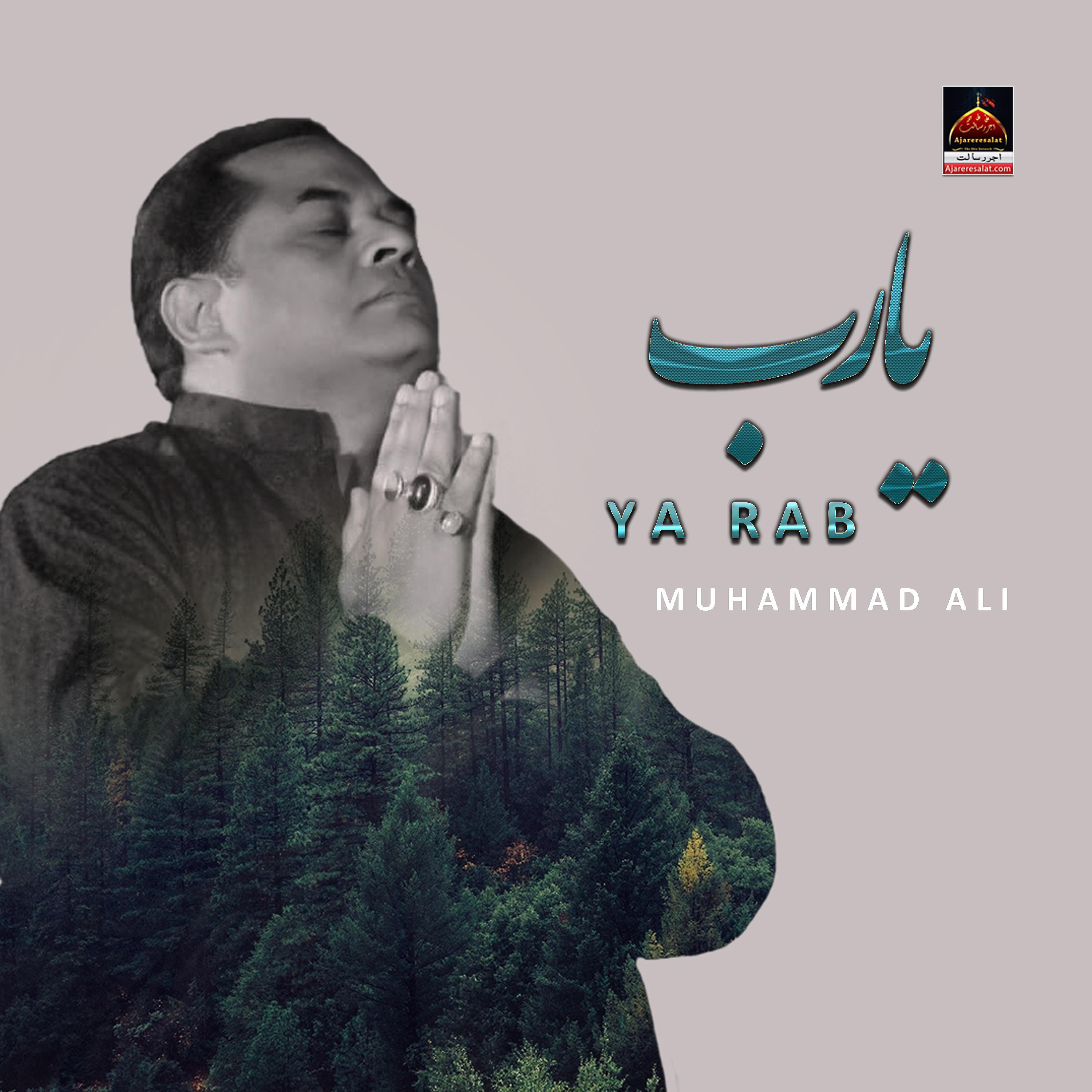 Постер альбома Ya Rab - Single