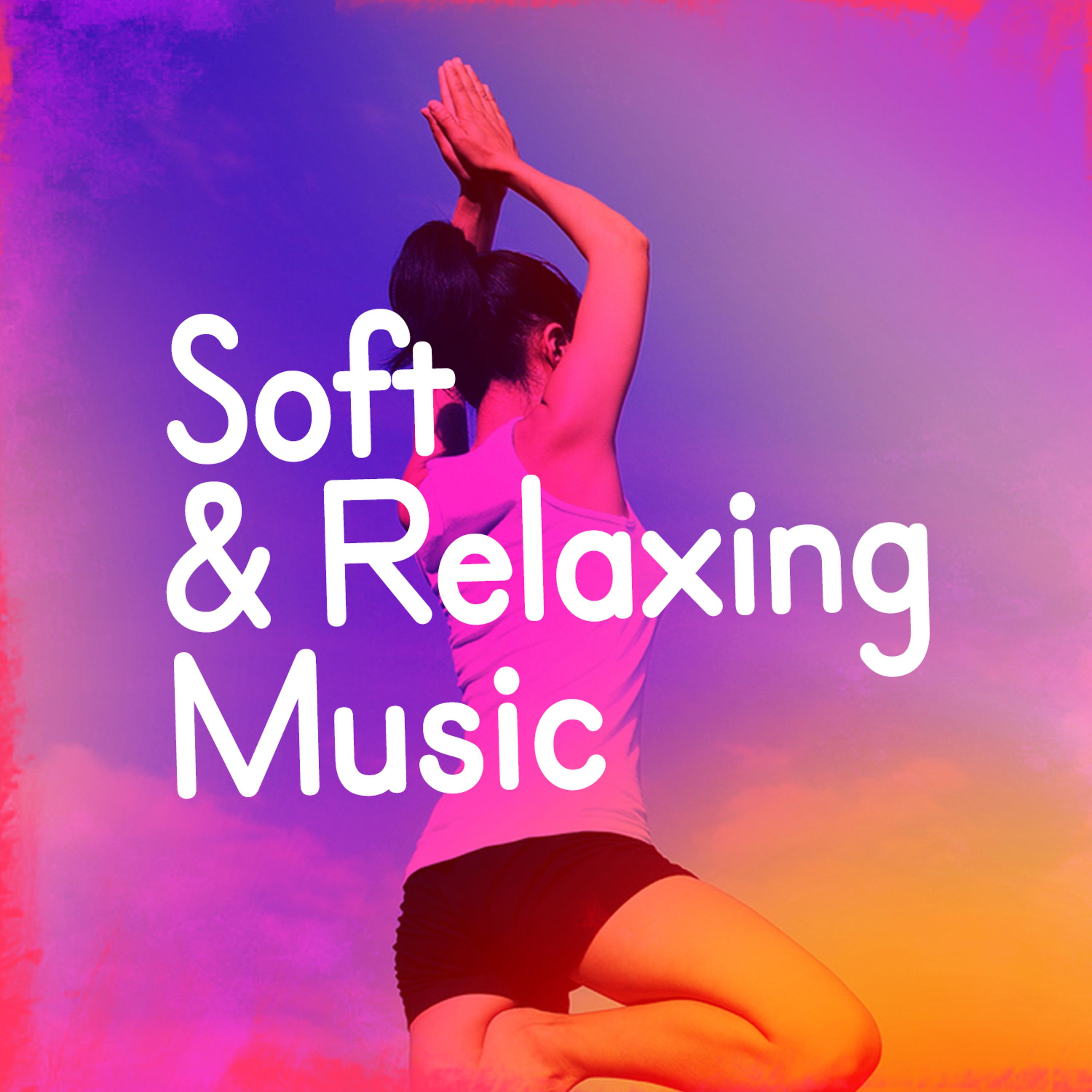 Постер альбома Soft & Relaxing Music
