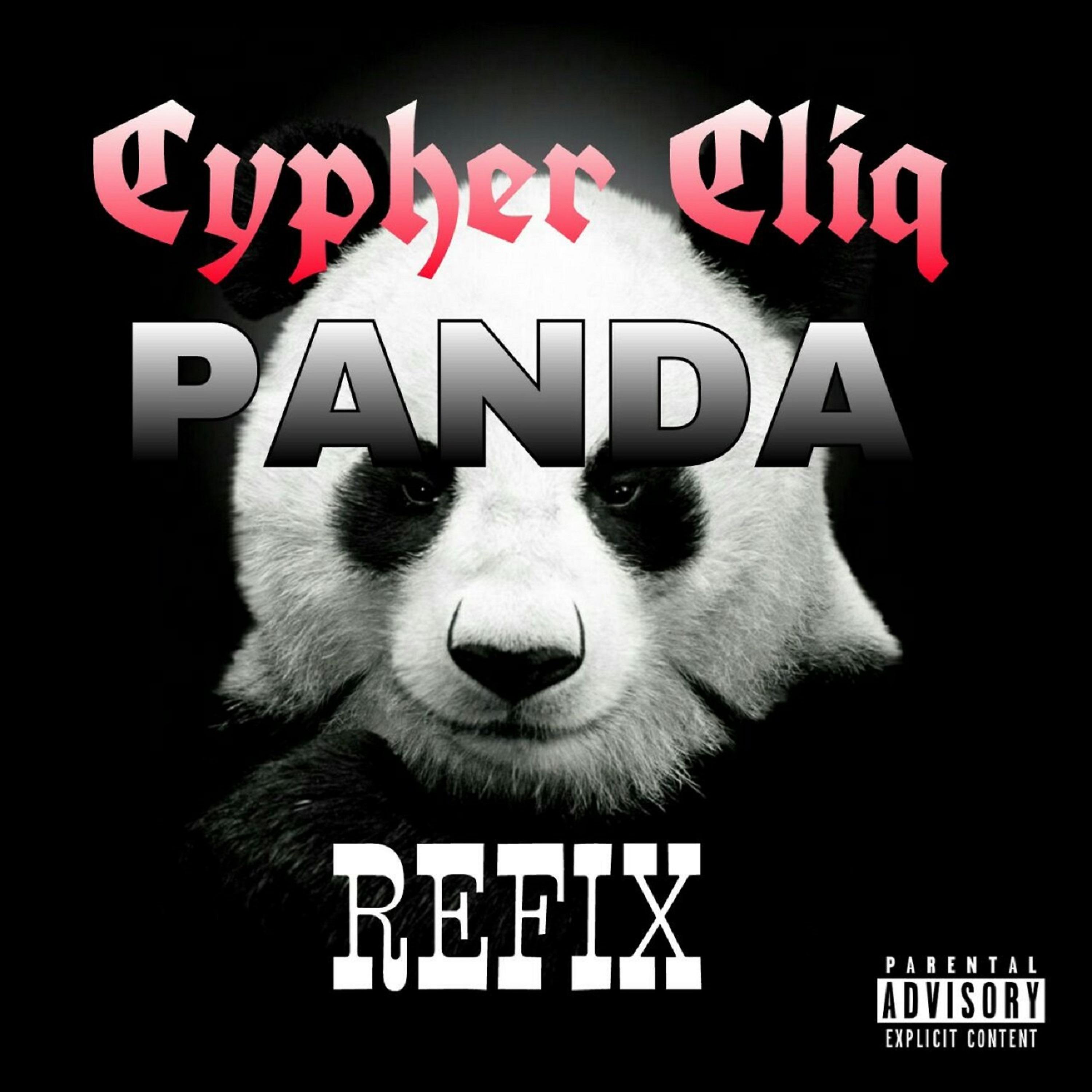 Постер альбома Panda Refix