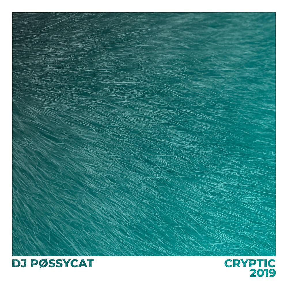 Постер альбома Cryptic 2019