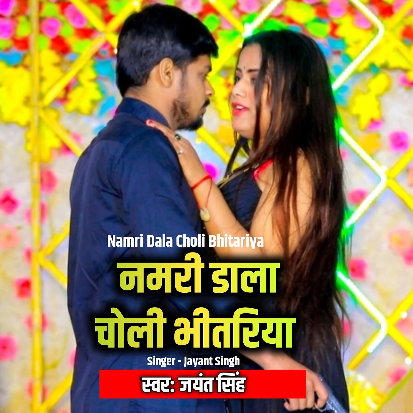 Постер альбома Namri Dala Choli Bhitariya