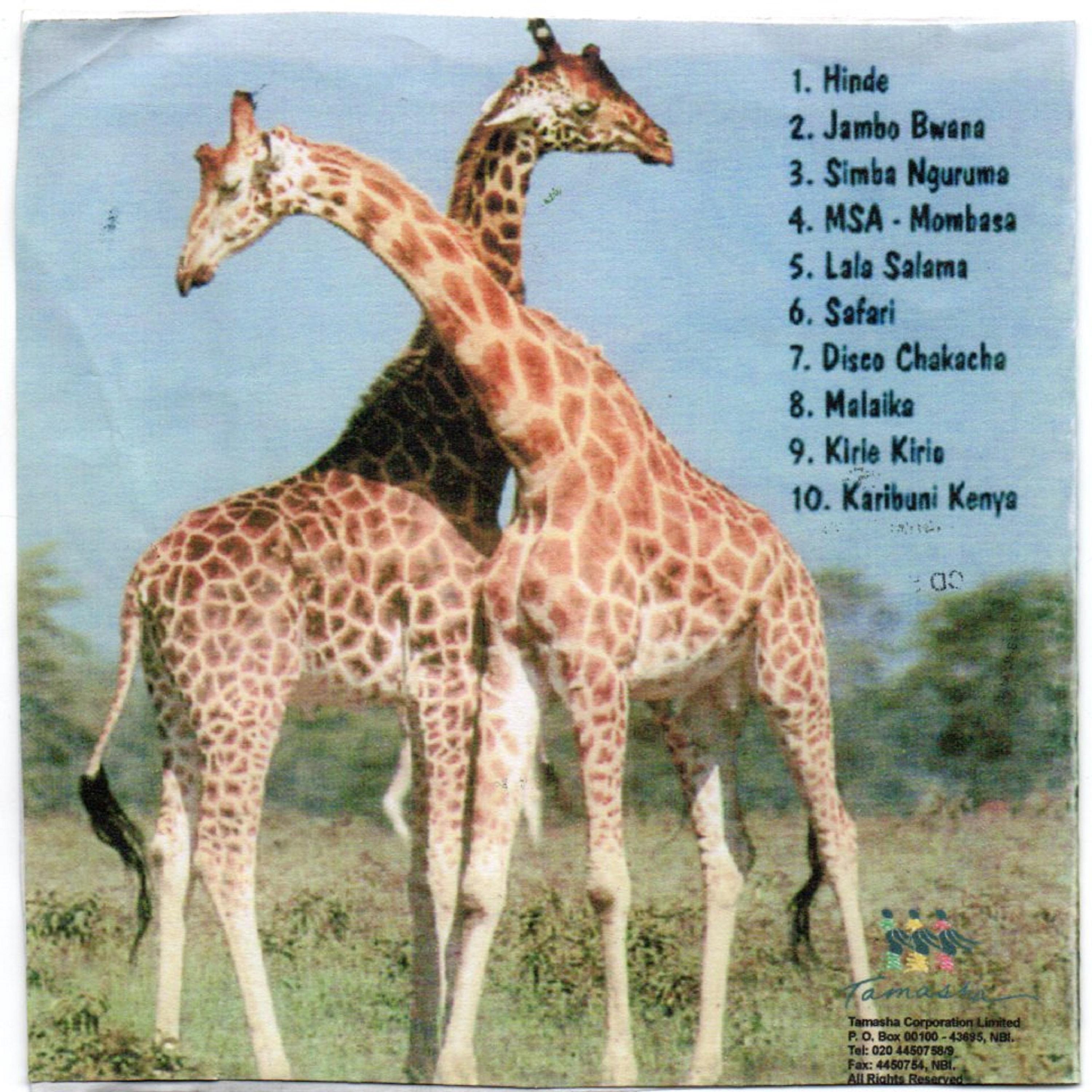 Постер альбома Top Hits from Kenya