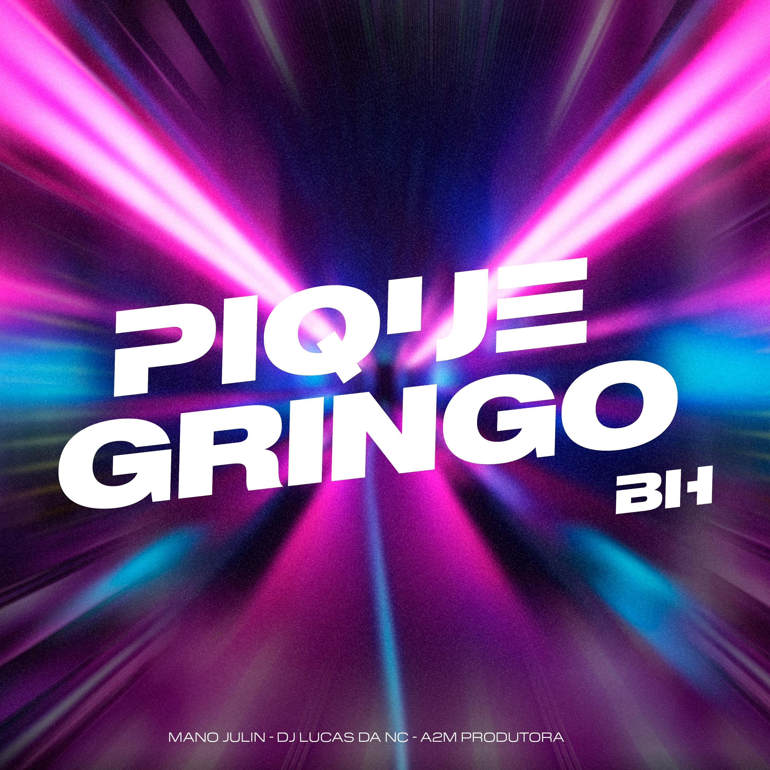 Постер альбома Pique Gringo BH