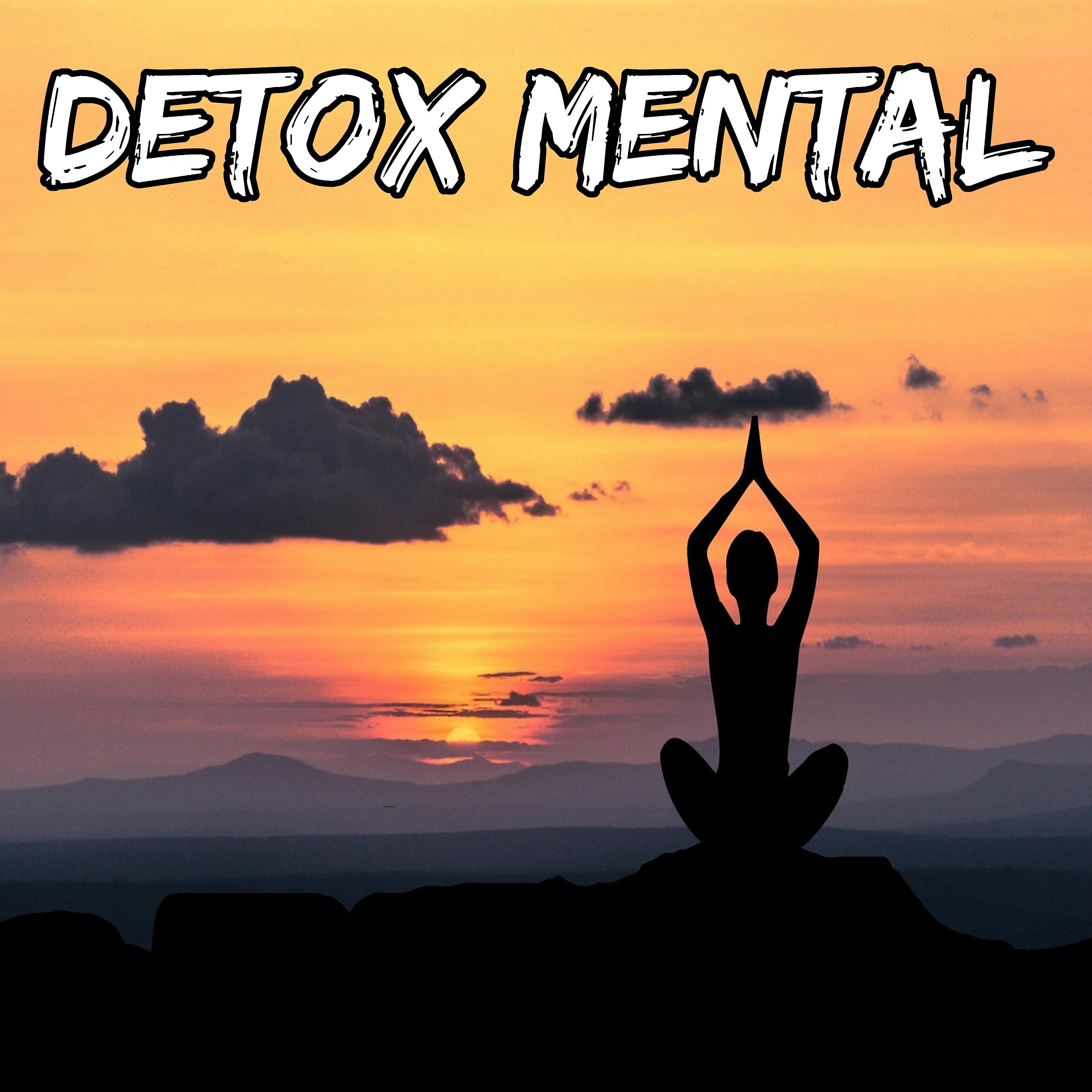 Постер альбома Detox Mental