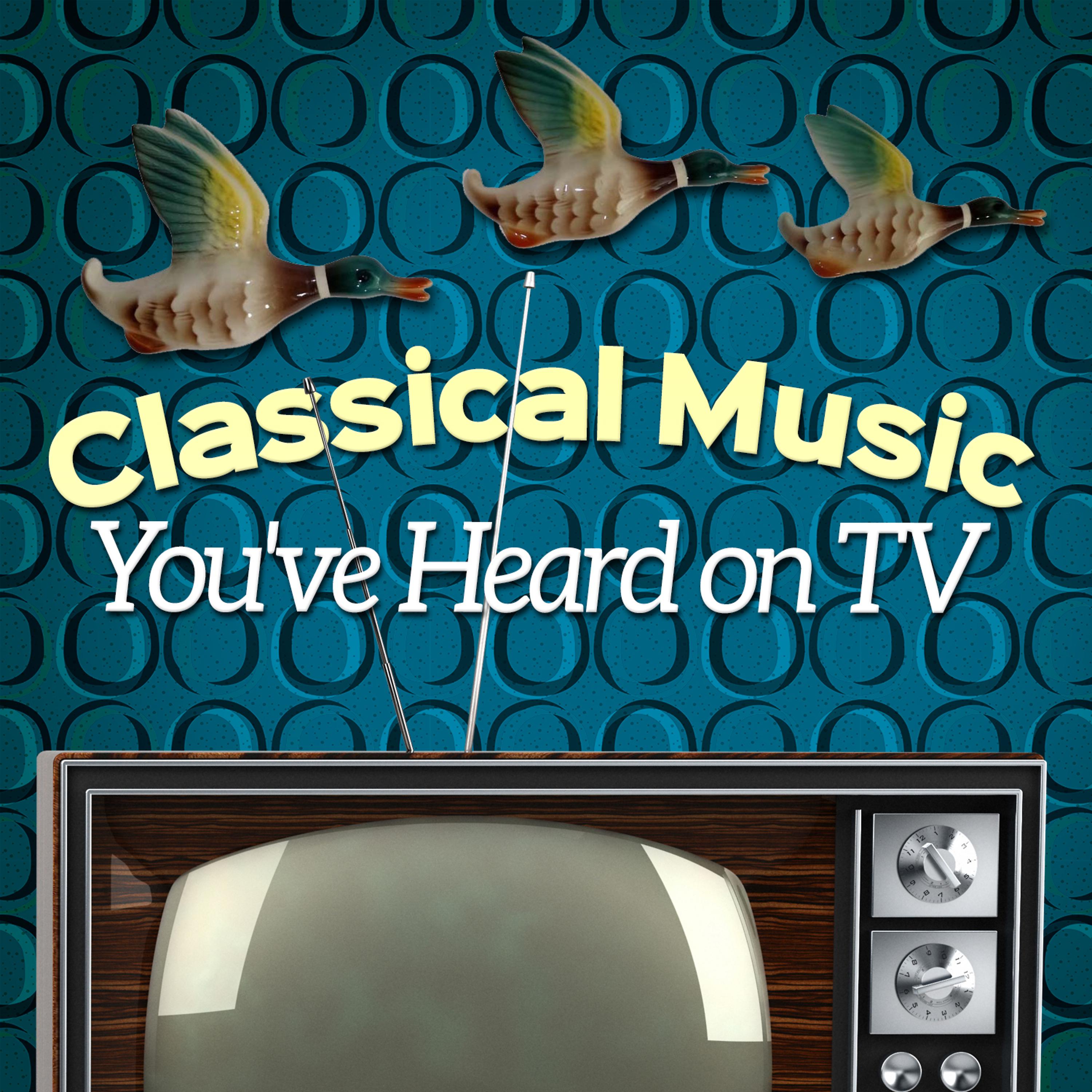 Постер альбома Classical Music You've Heard on Tv
