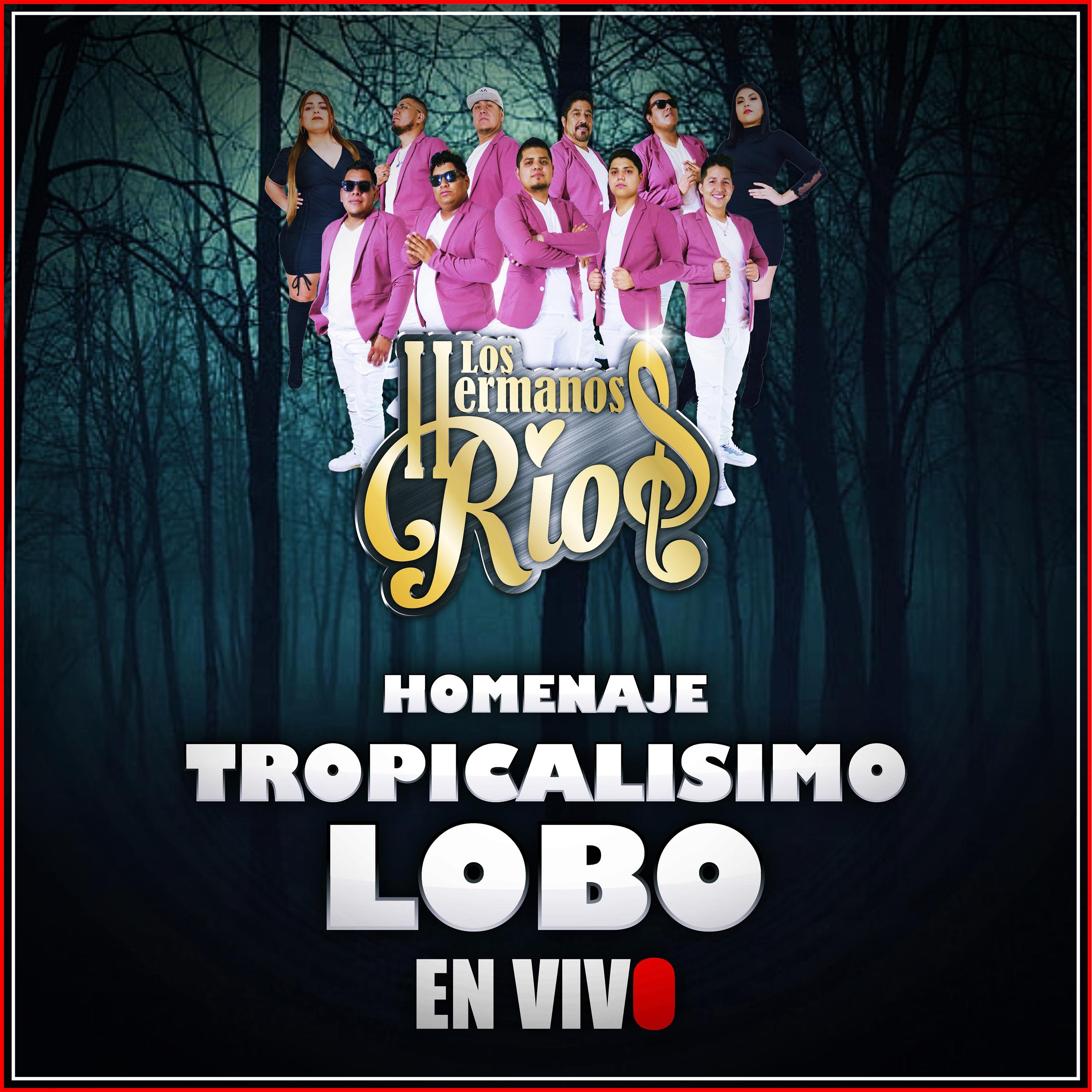 Постер альбома Homenaje Tropicalísimo Lobo